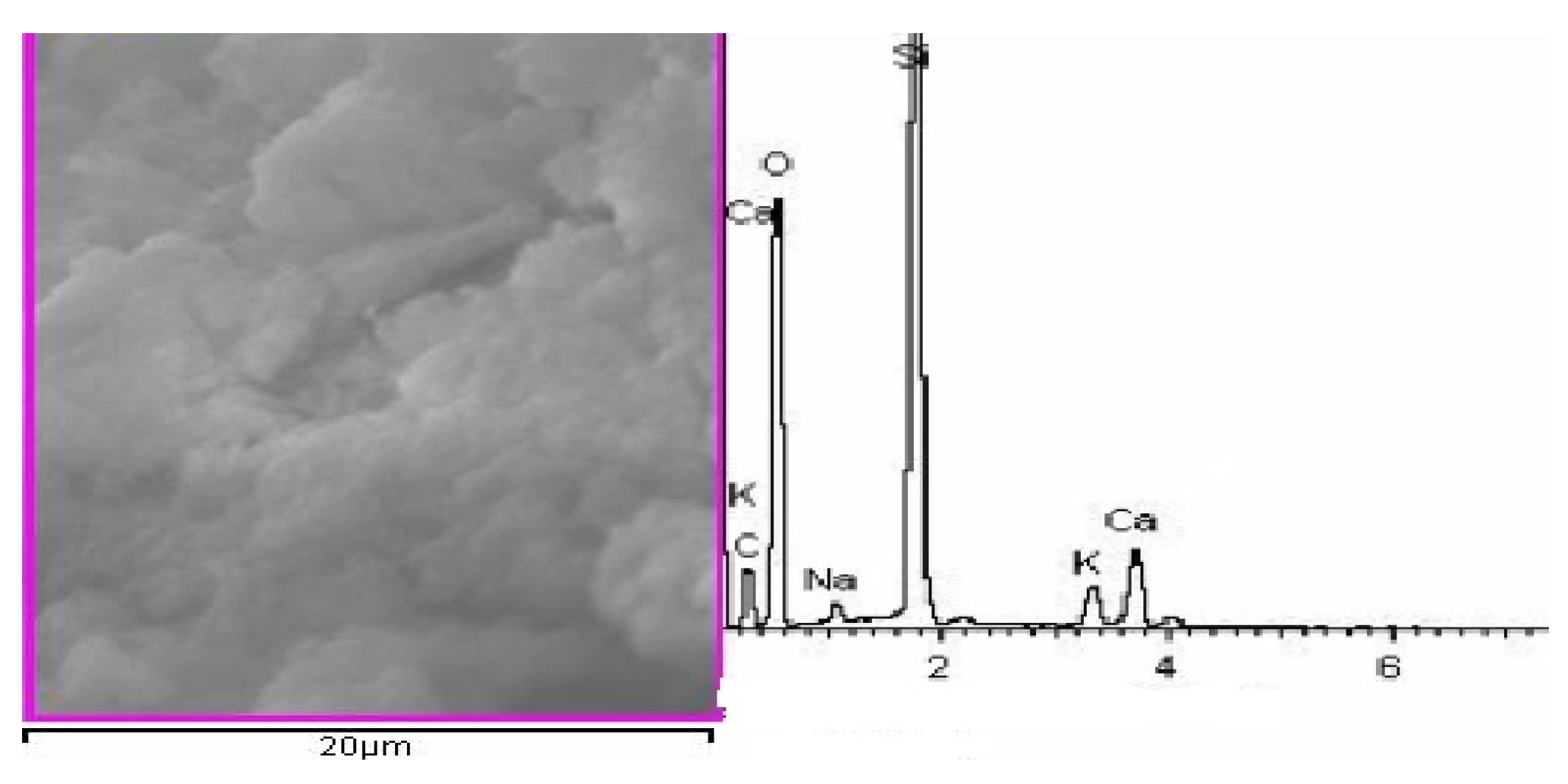 Coatings 10 00682 g008 Coatings 10 00682 g008