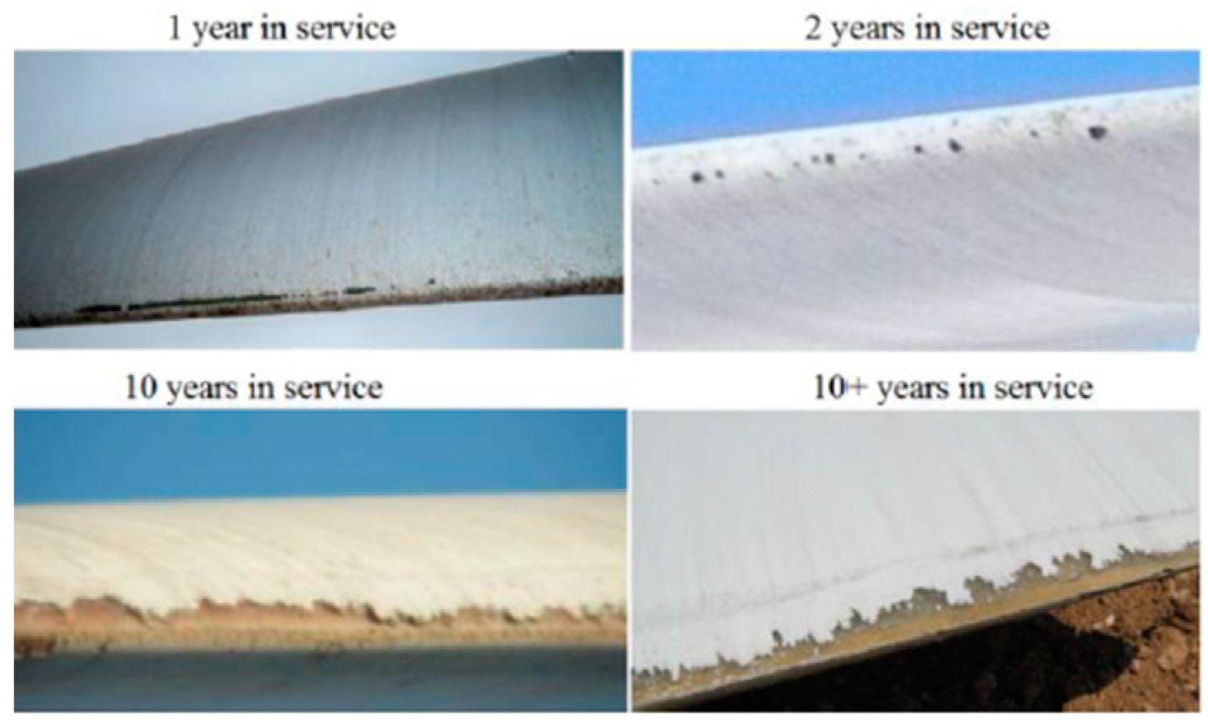 Coatings 10 00685 g001