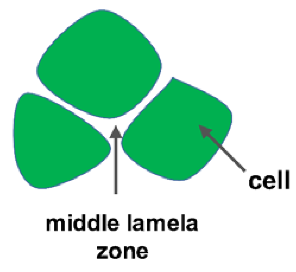 Coatings 10 00687 g004 Coatings 10 00687 g004