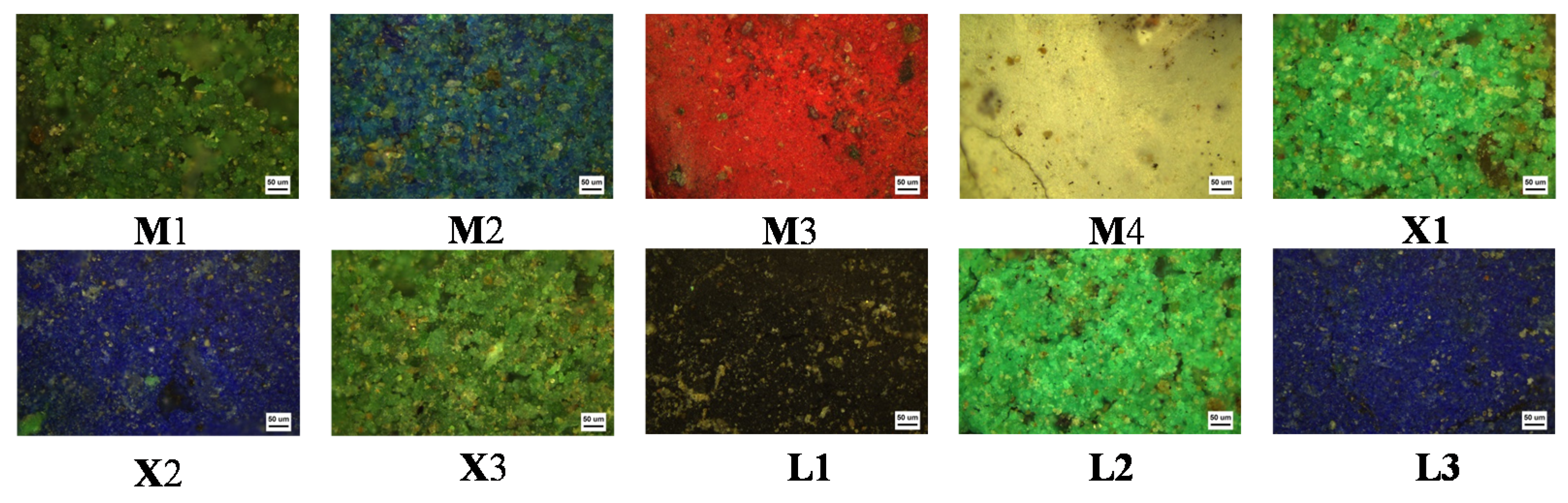 Coatings 10 00688 g002
