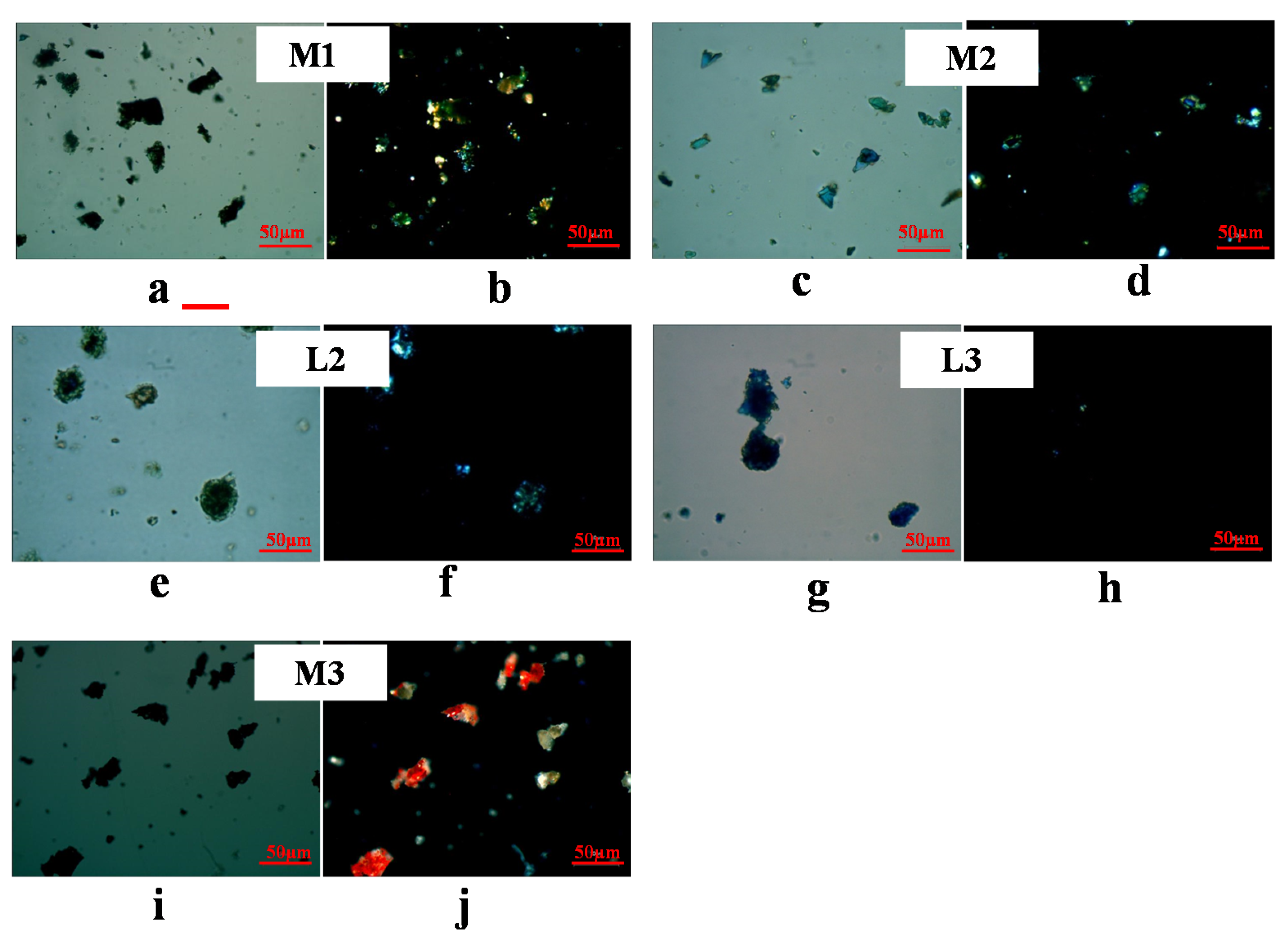 Coatings 10 00688 g005