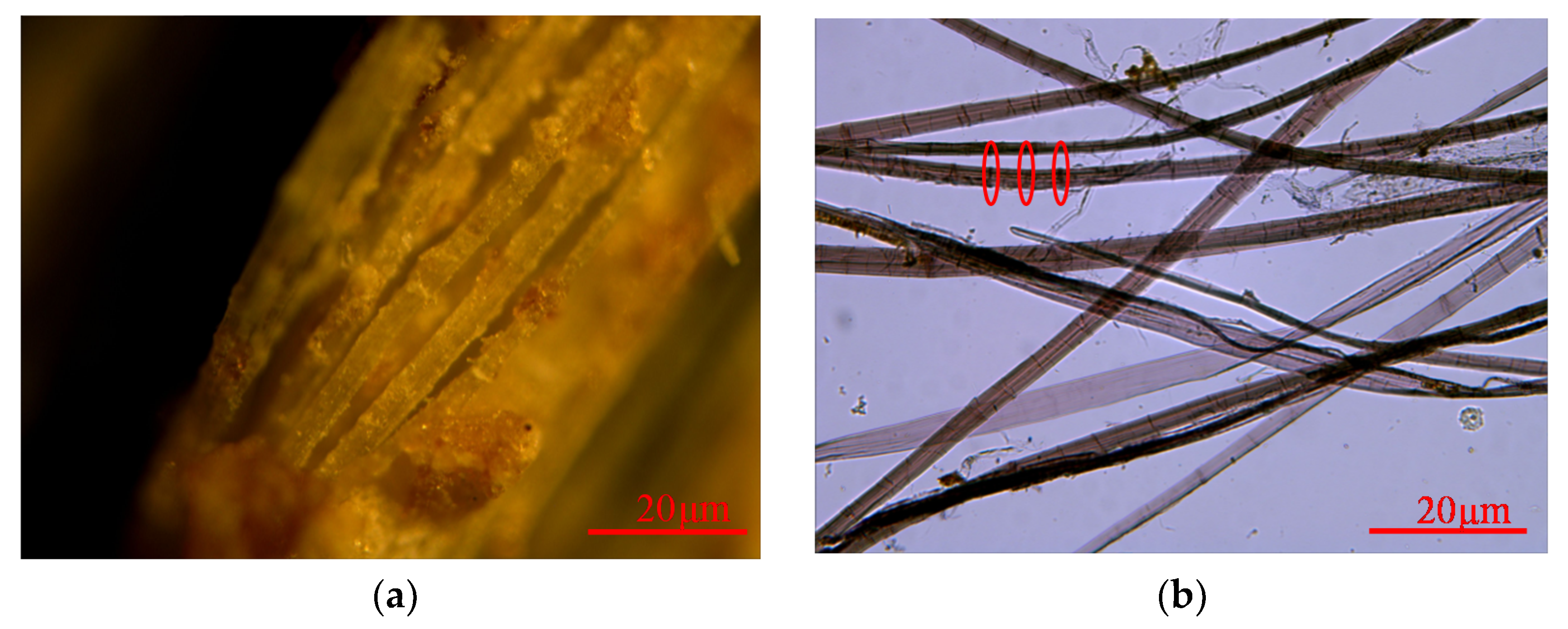 Coatings 10 00688 g006