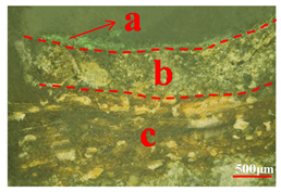 Coatings 10 00688 i004