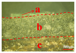 Coatings 10 00688 i005