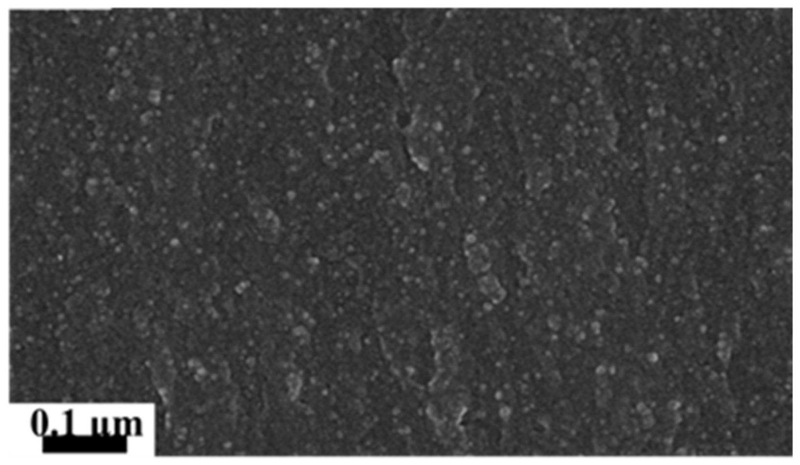 Coatings 10 00690 g013