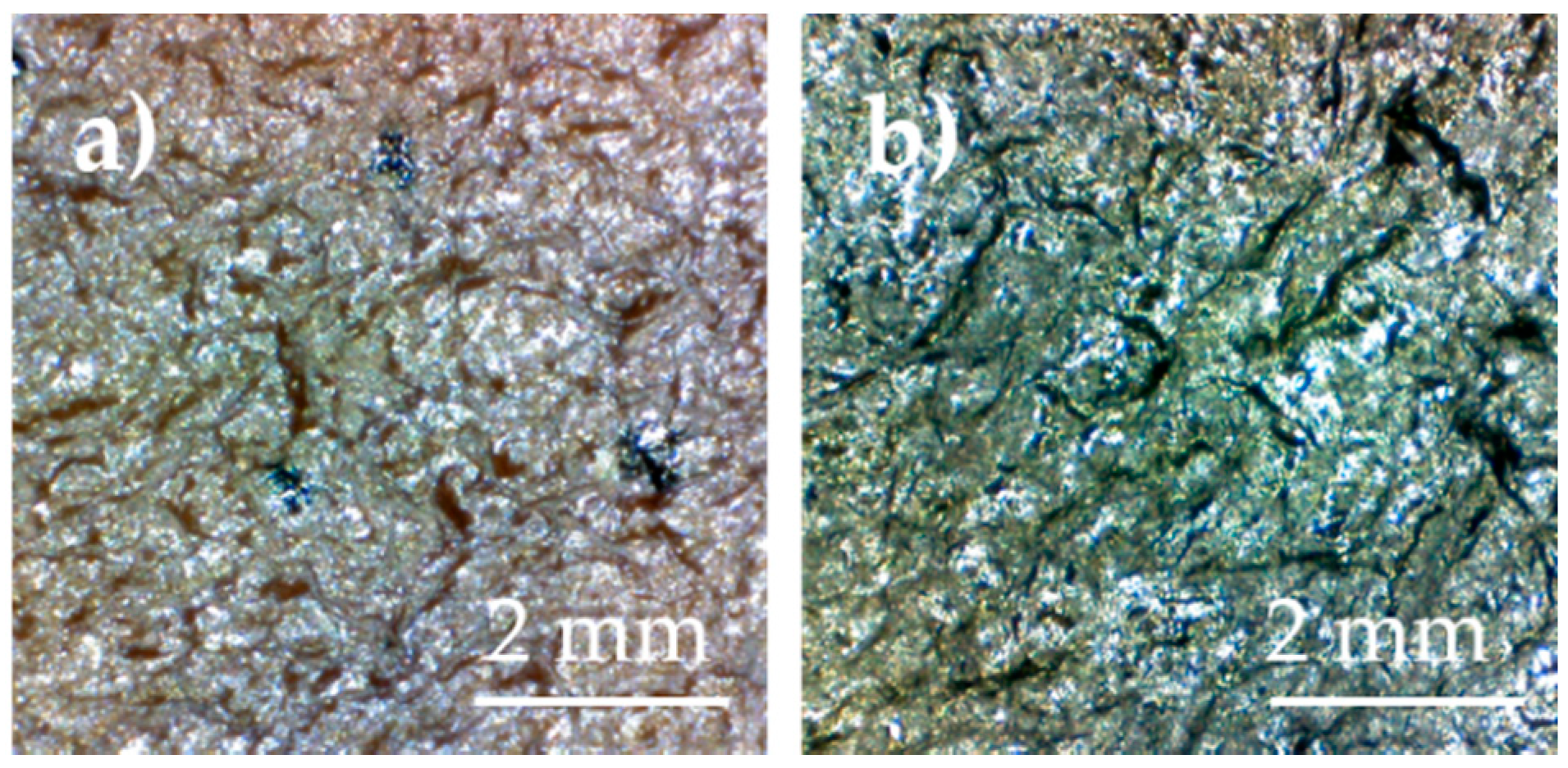 Coatings 10 00693 g003