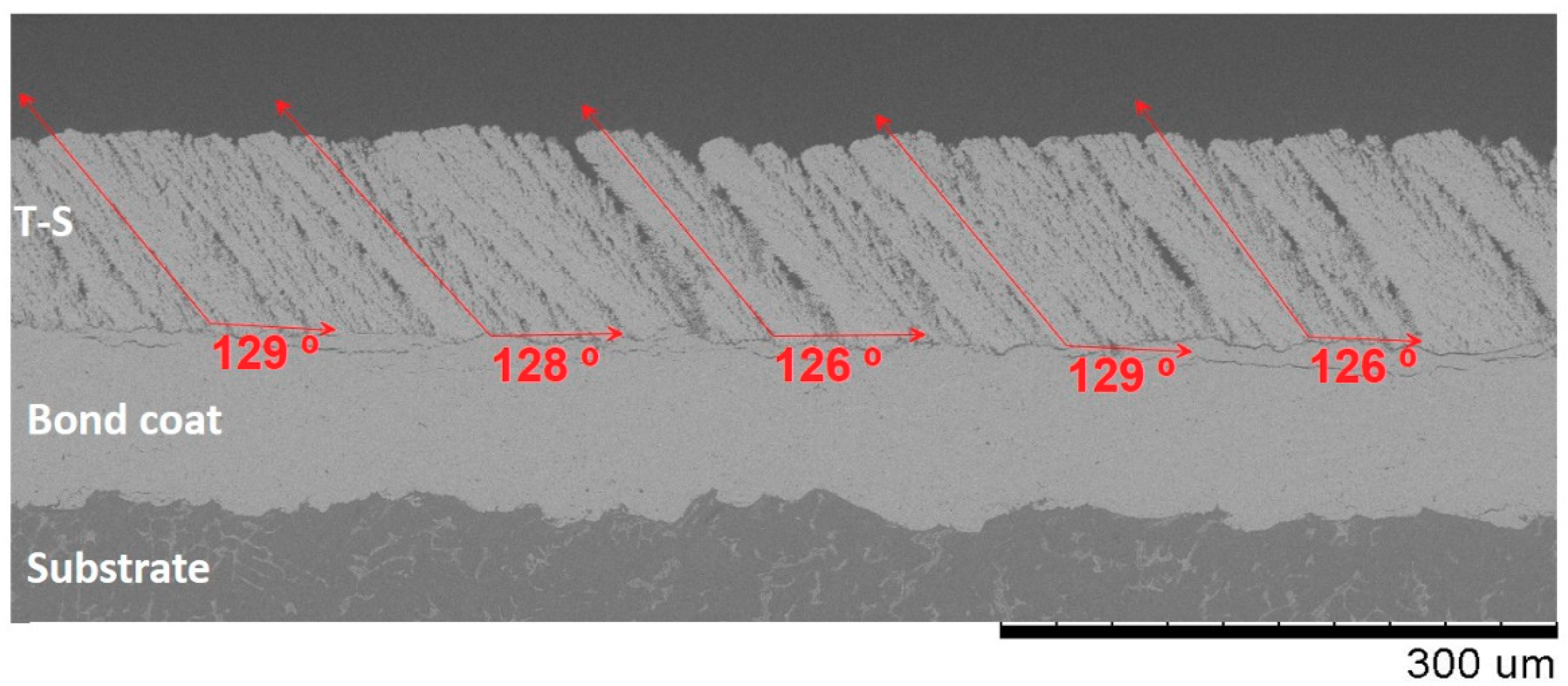 Coatings 10 00699 g002 Coatings 10 00699 g002