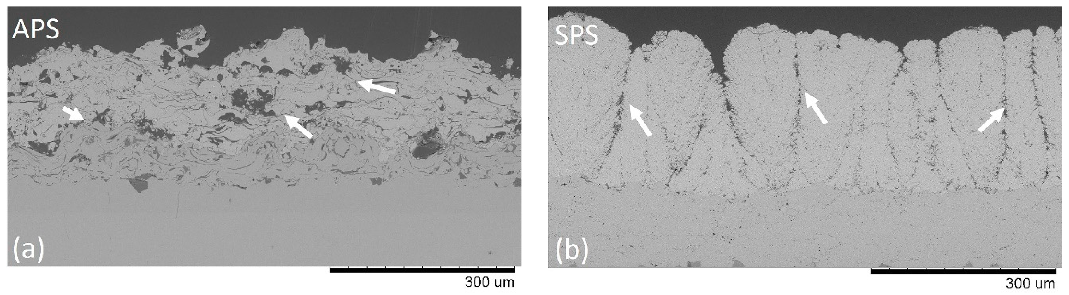 Coatings 10 00699 g004 Coatings 10 00699 g004