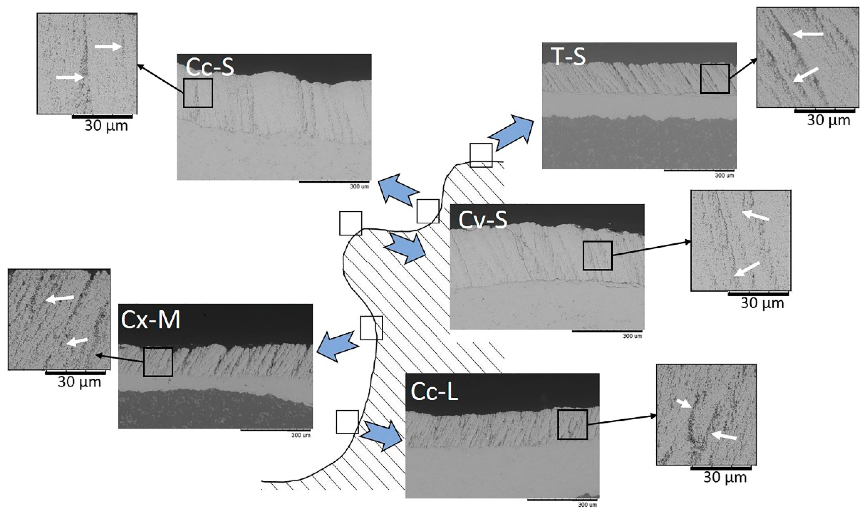 Coatings 10 00699 g006 Coatings 10 00699 g006
