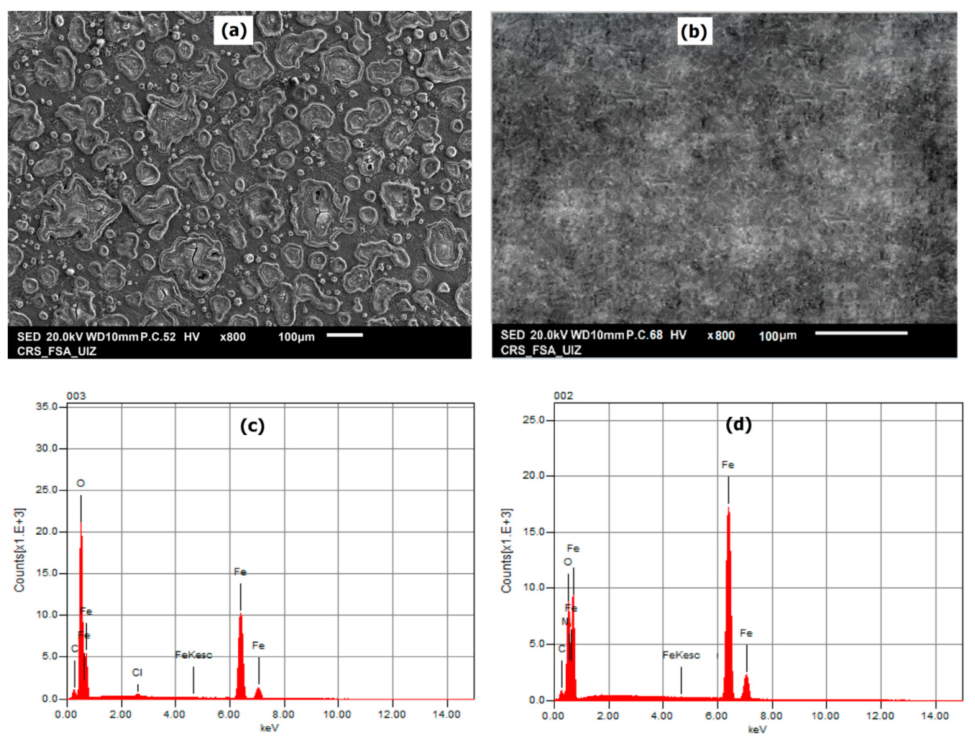 Coatings 10 00700 g008
