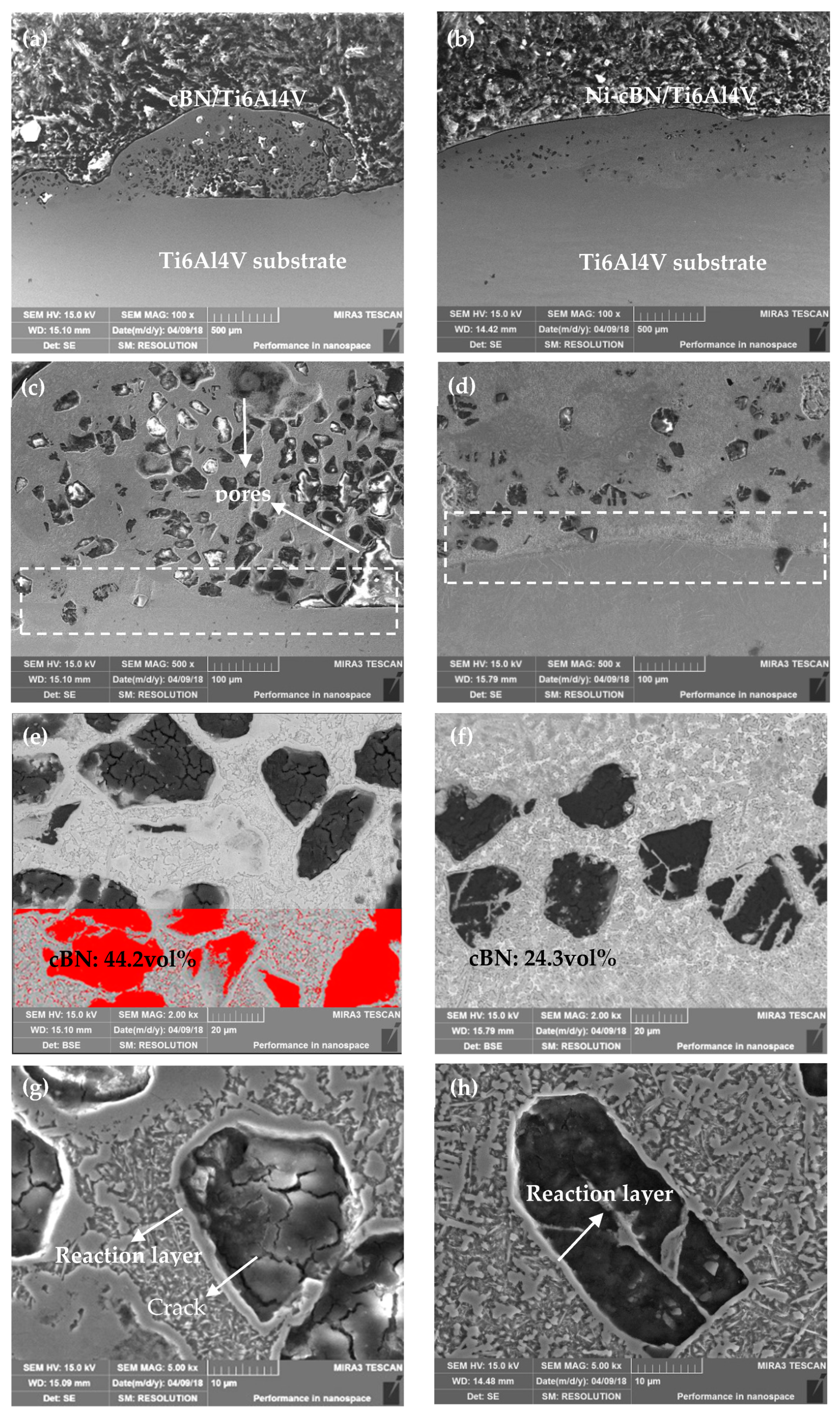 Coatings 10 00702 g003 550