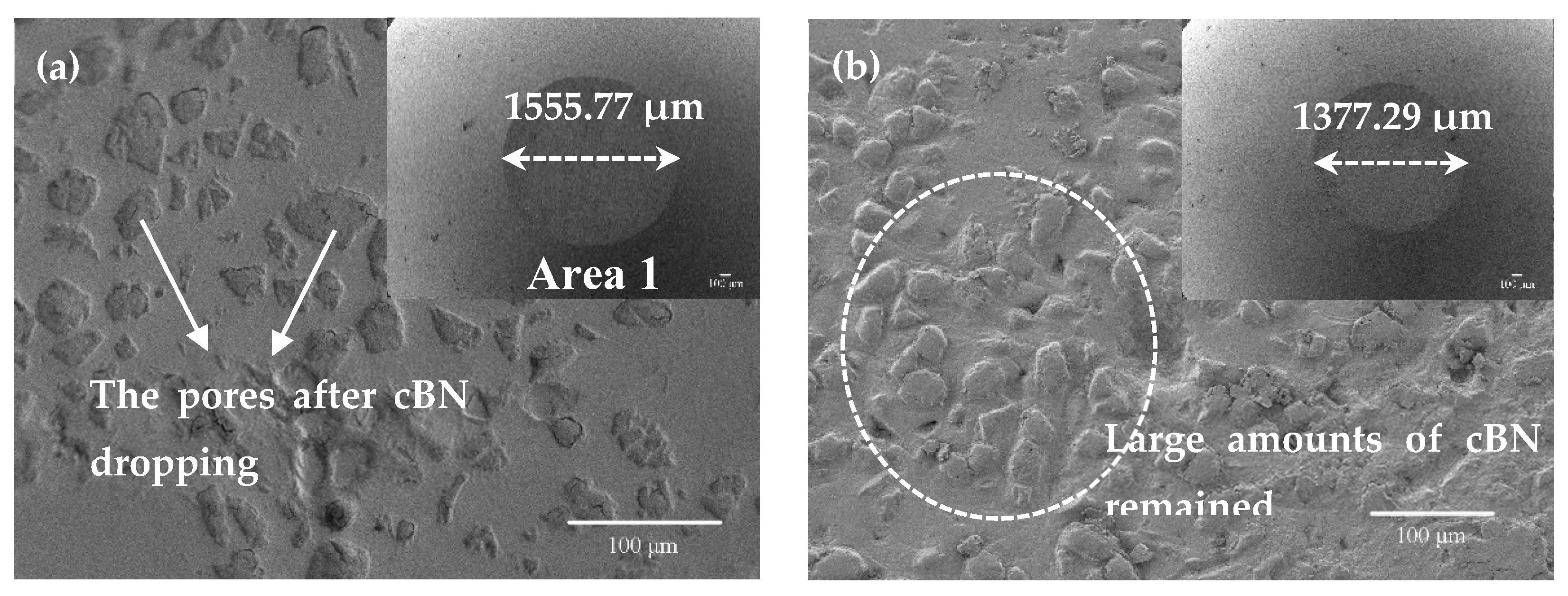 Coatings 10 00702 g011a 550