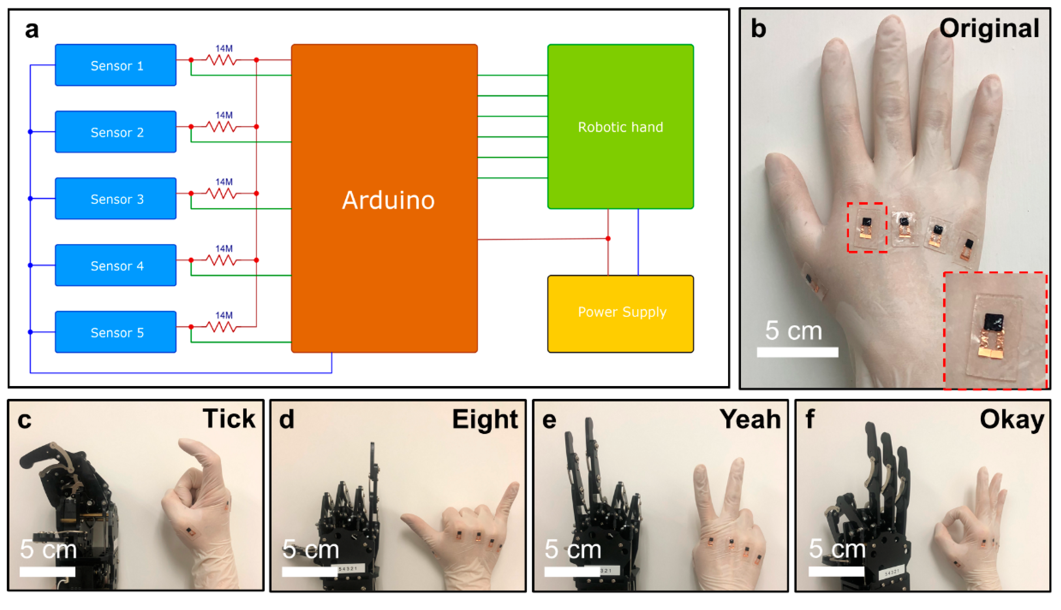 Coatings 10 00711 g004