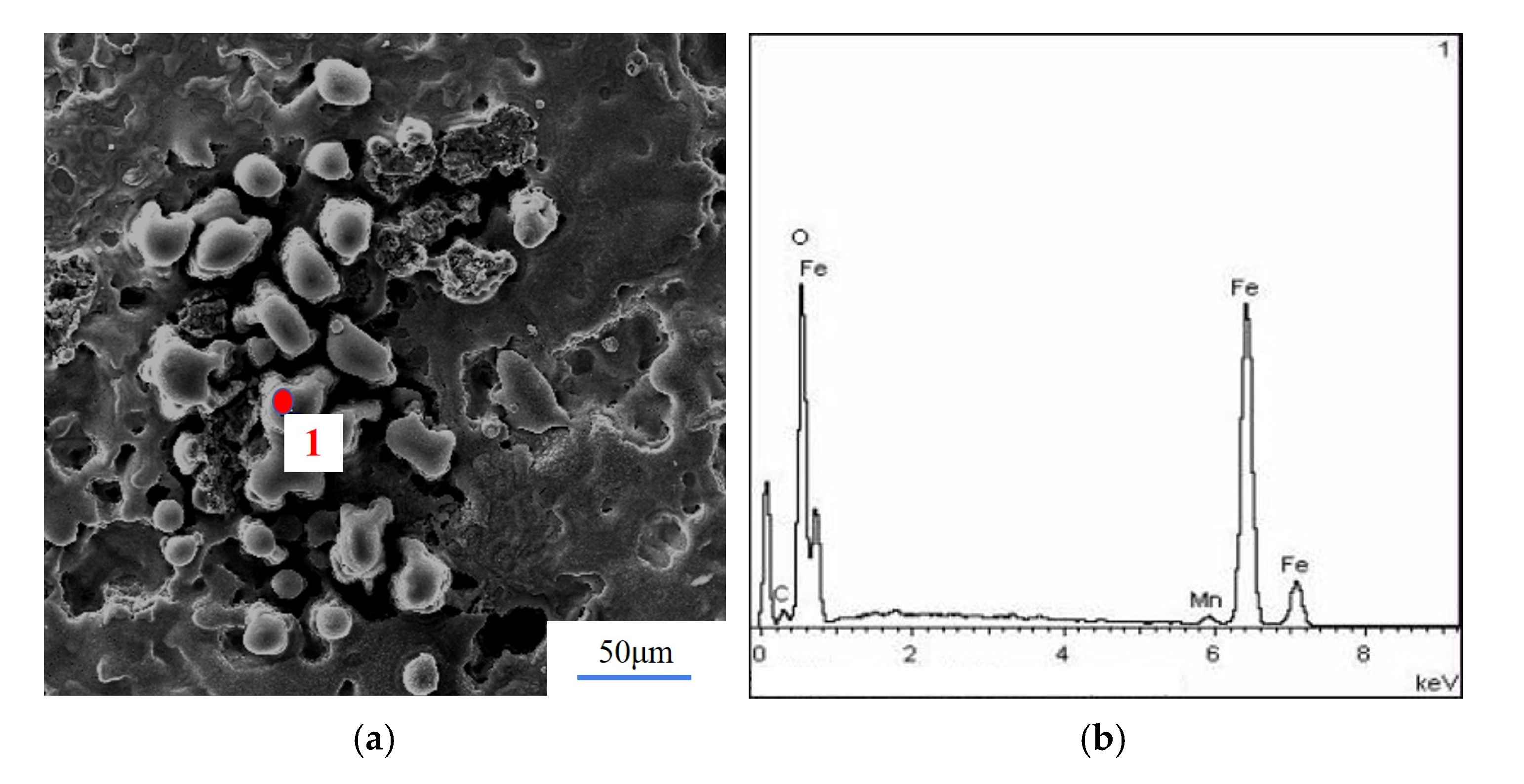 Coatings 10 00716 g009 Coatings 10 00716 g009