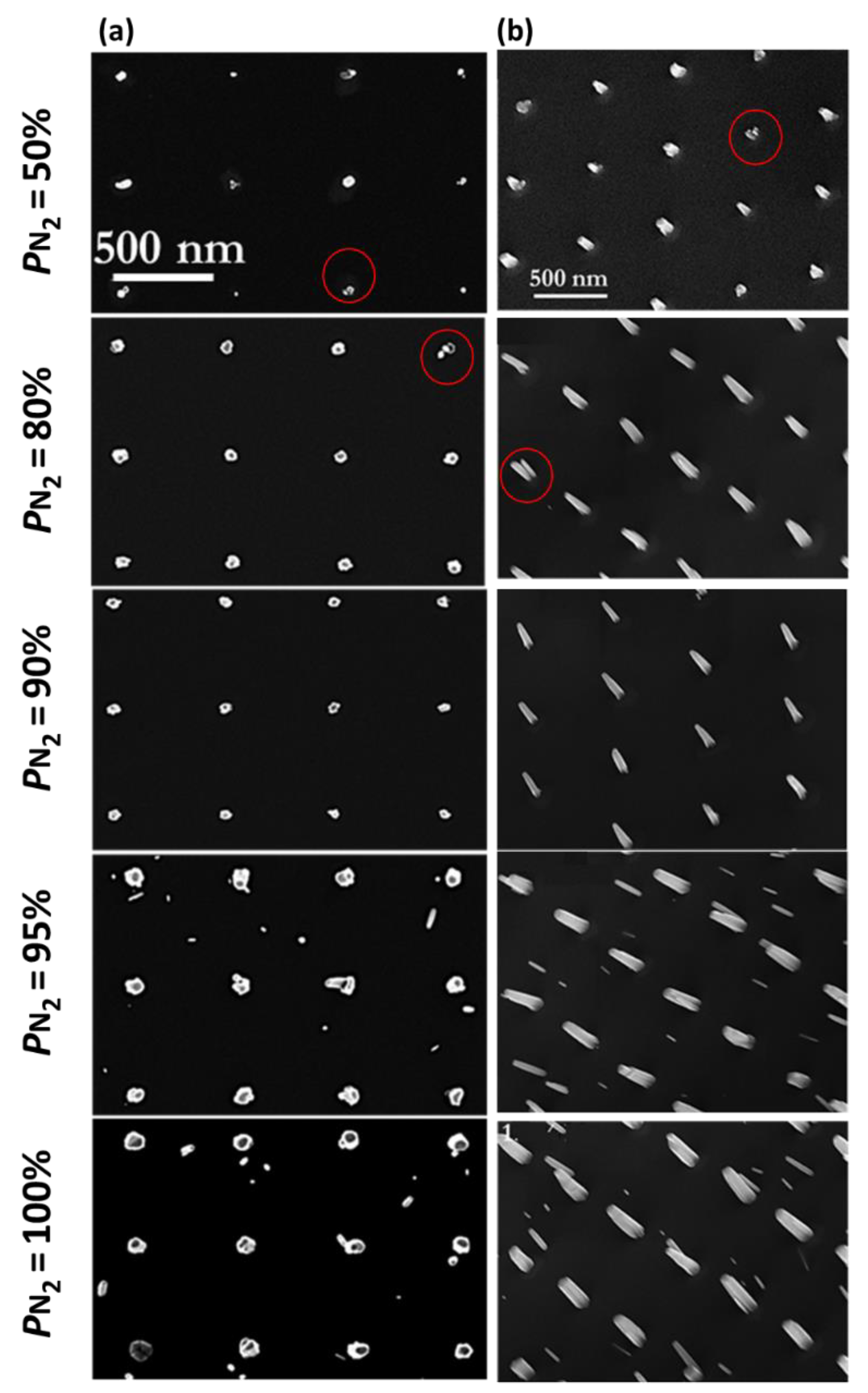 Coatings 10 00719 g002 Coatings 10 00719 g002
