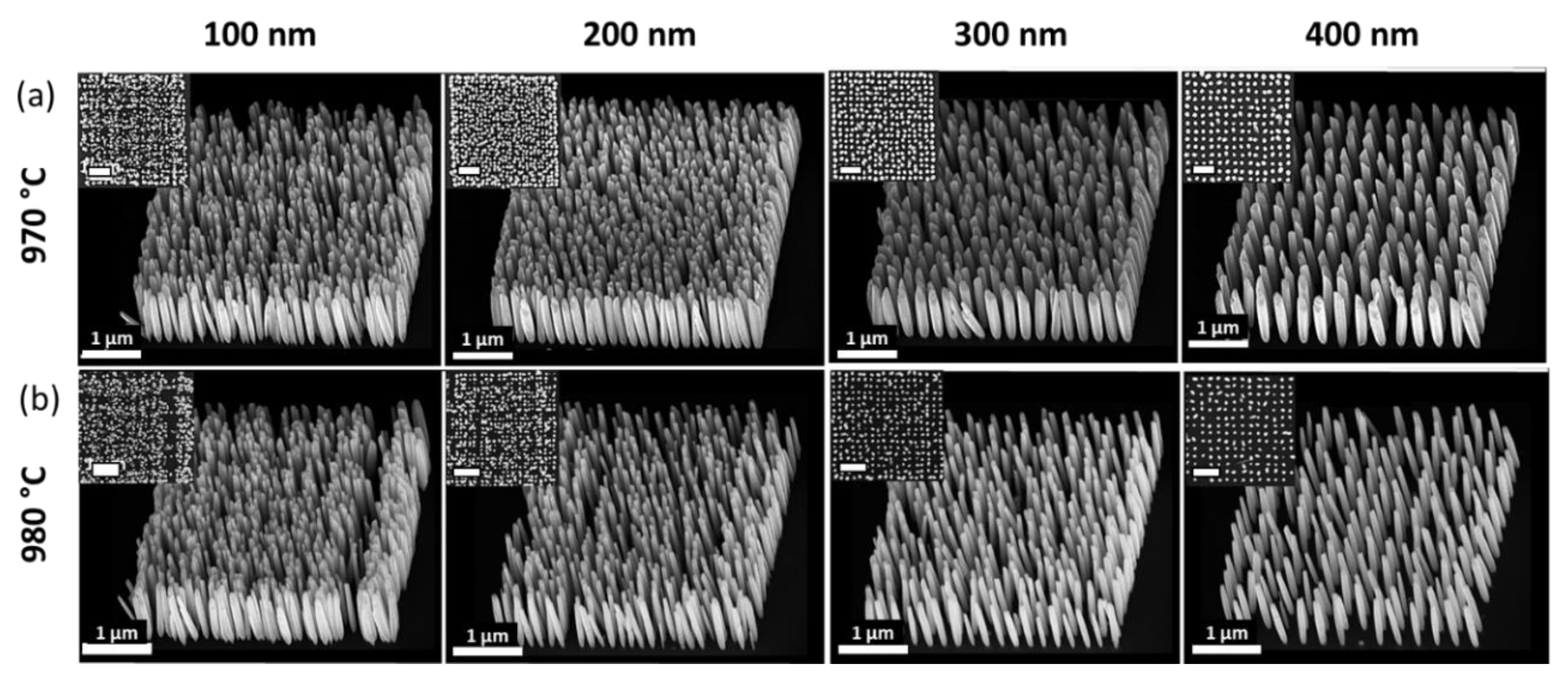 Coatings 10 00719 g005 Coatings 10 00719 g005