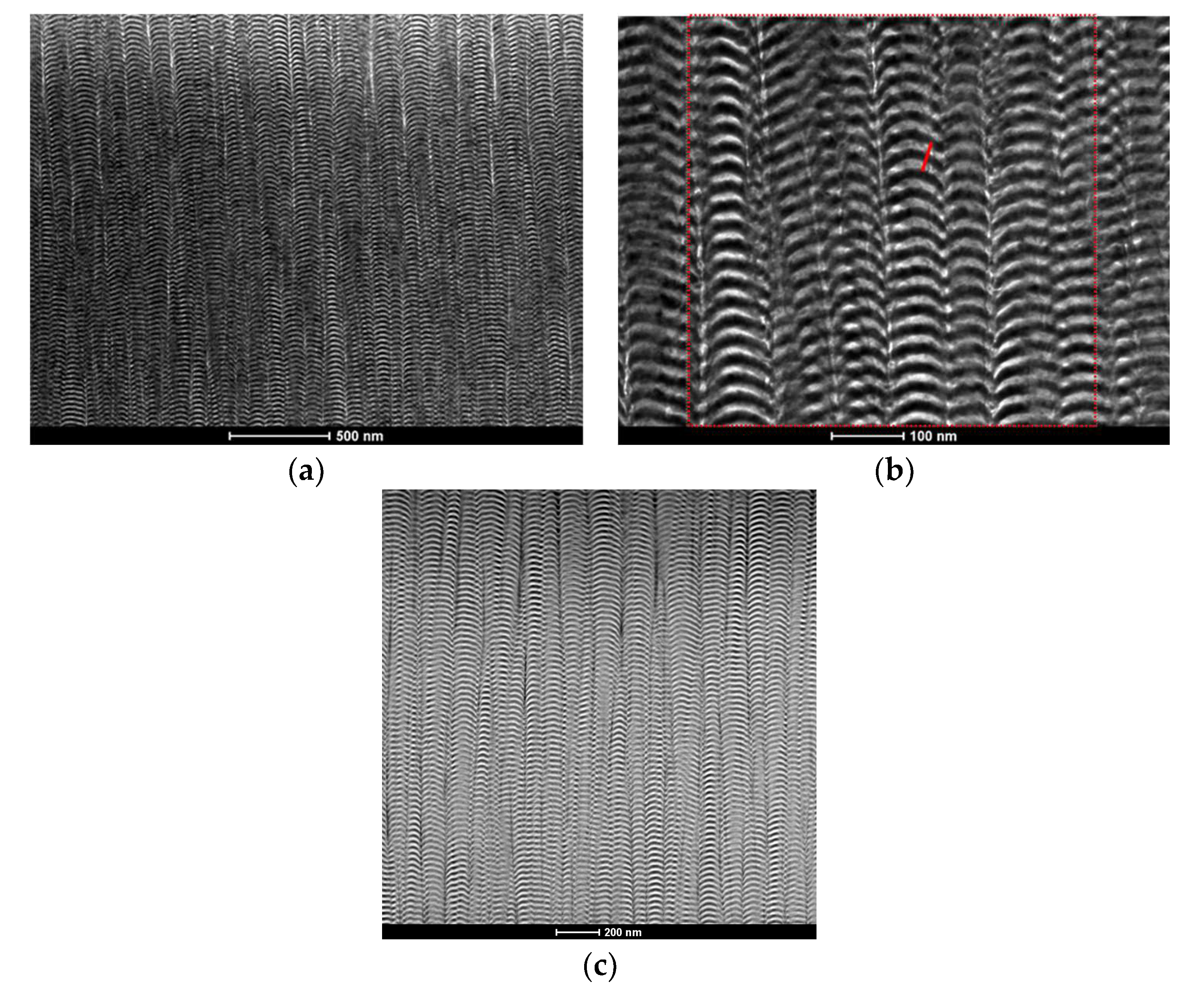Coatings 10 00721 g003 Coatings 10 00721 g003