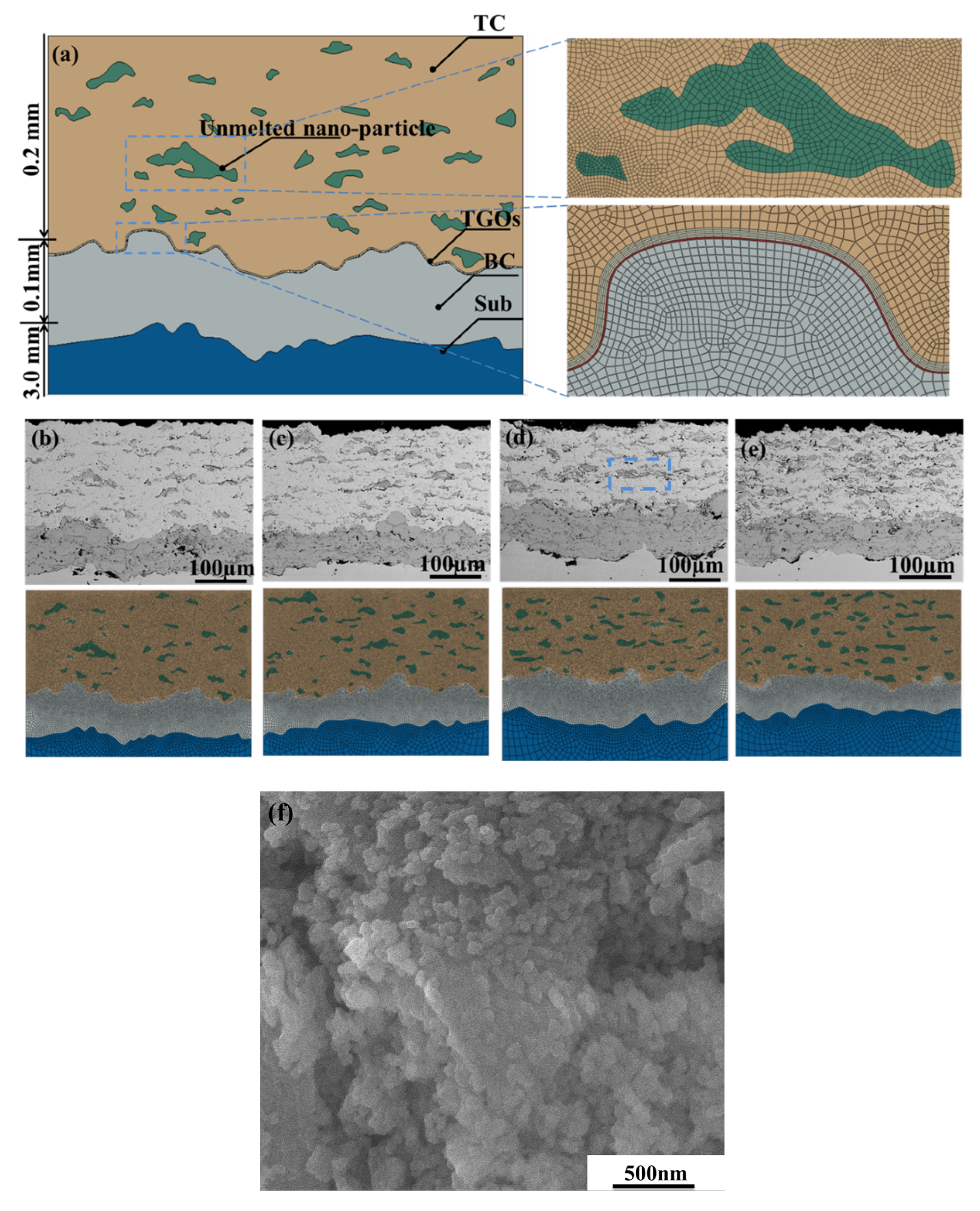 Coatings 10 00722 g001