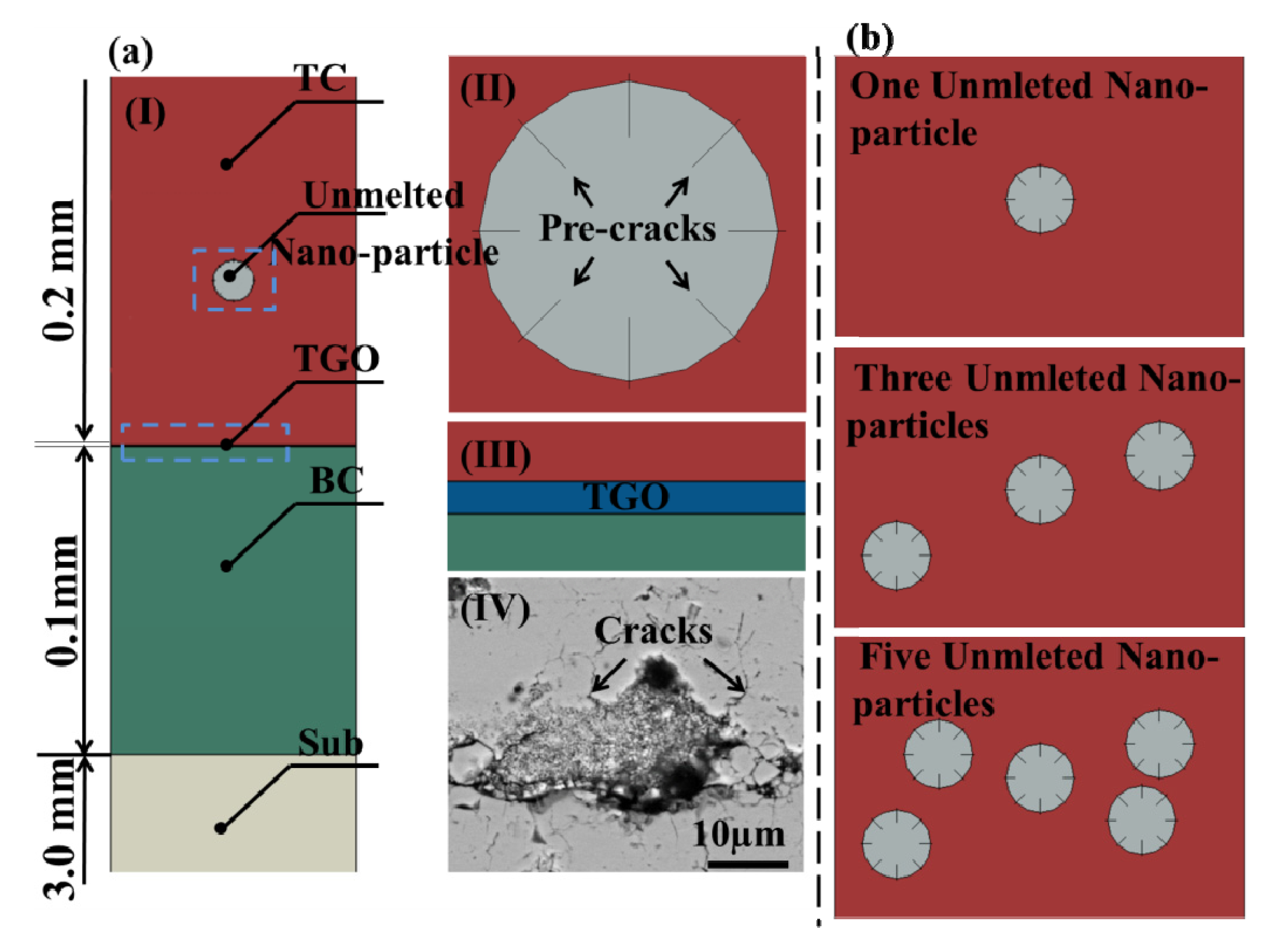 Coatings 10 00722 g003