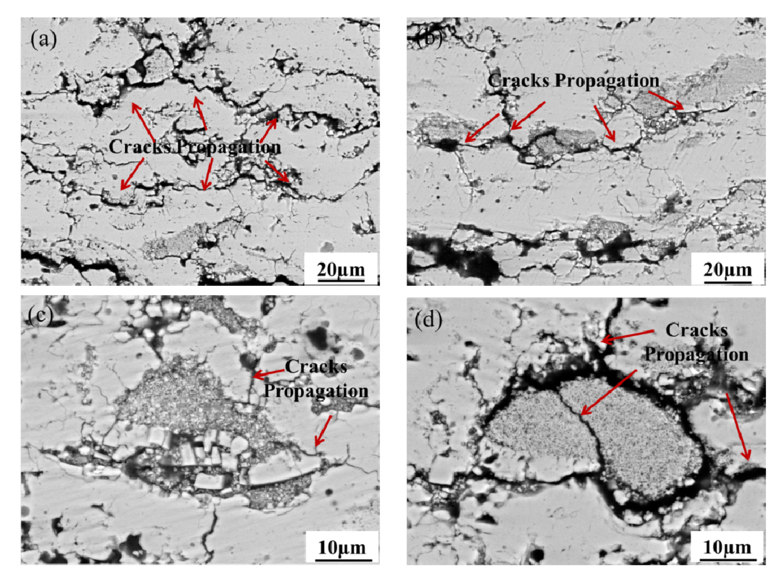 Coatings 10 00722 g011