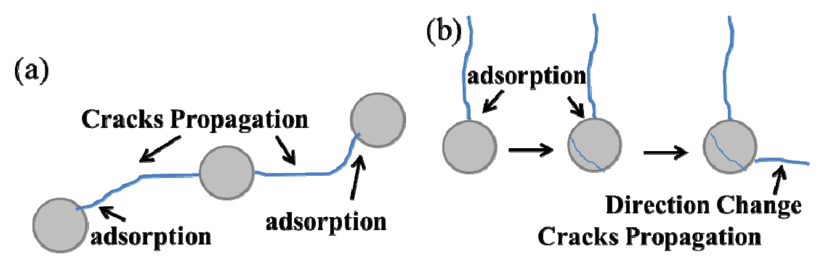 Coatings 10 00722 g012