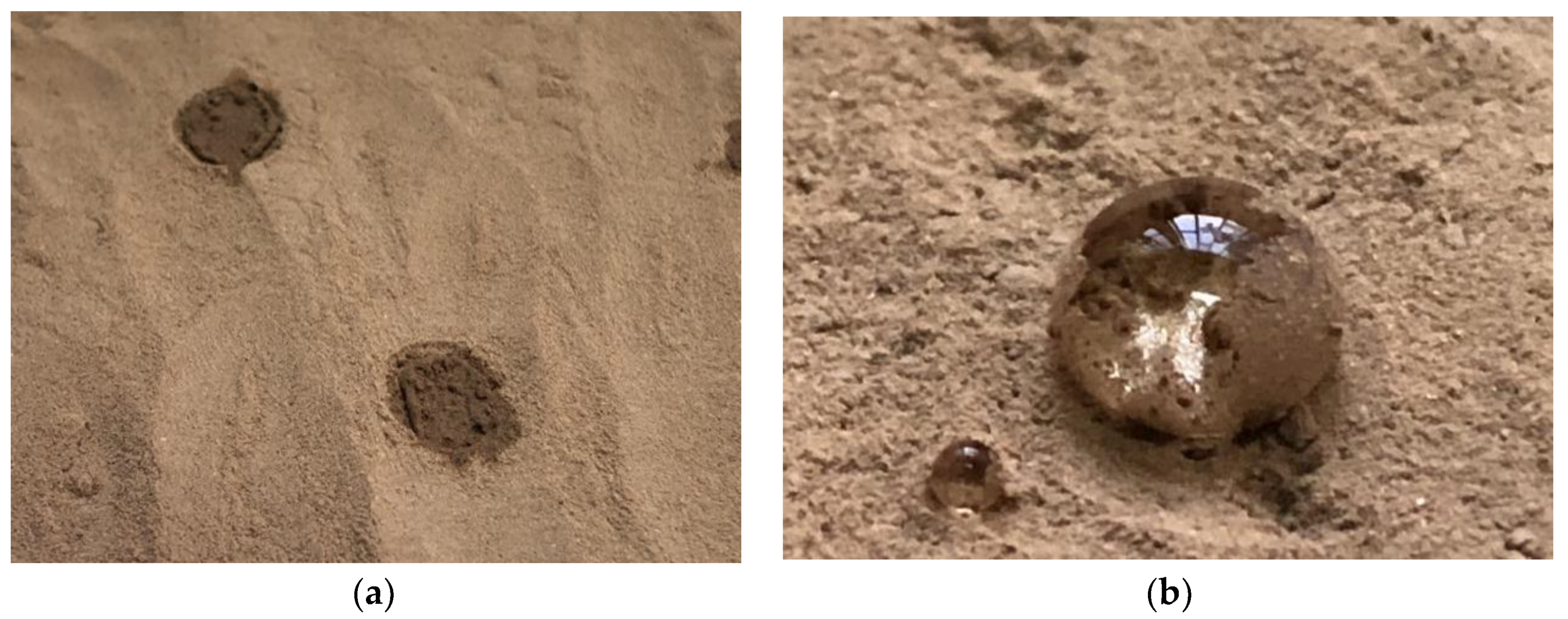 Coatings 10 00724 g002