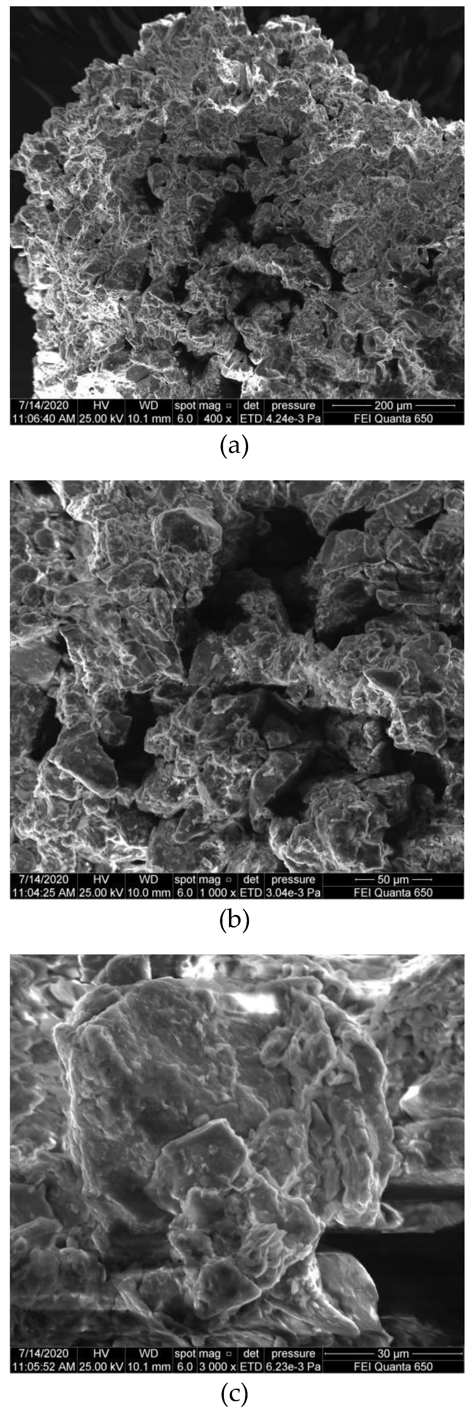 Coatings 10 00724 g005