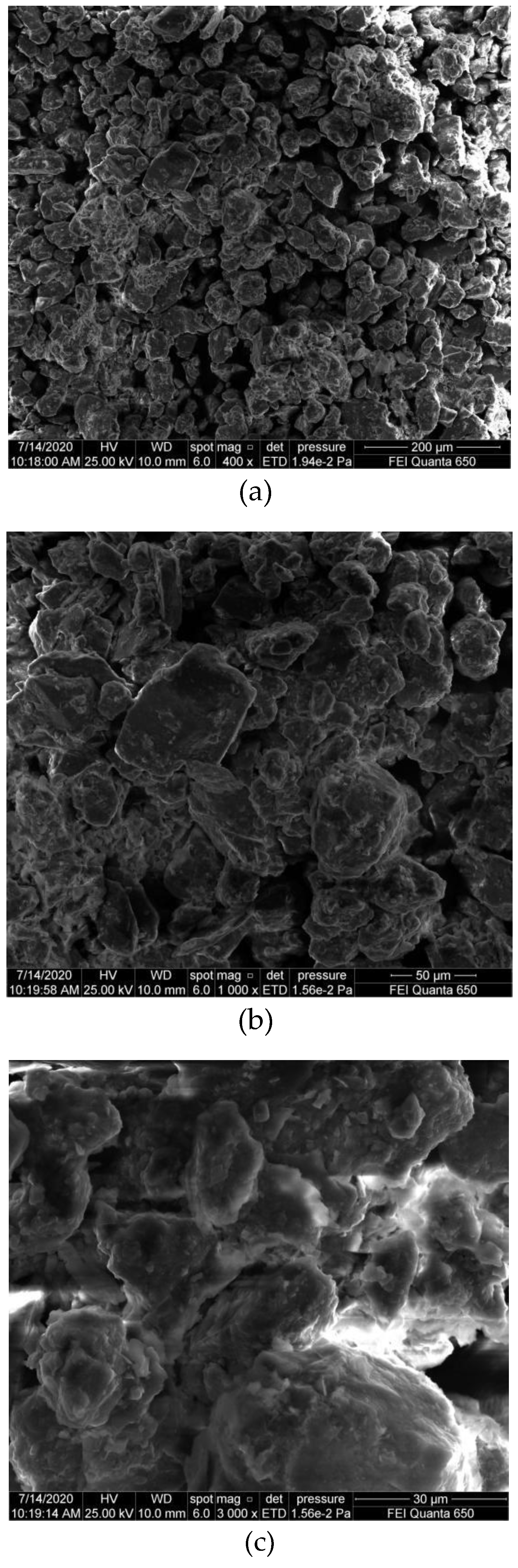 Coatings 10 00724 g006