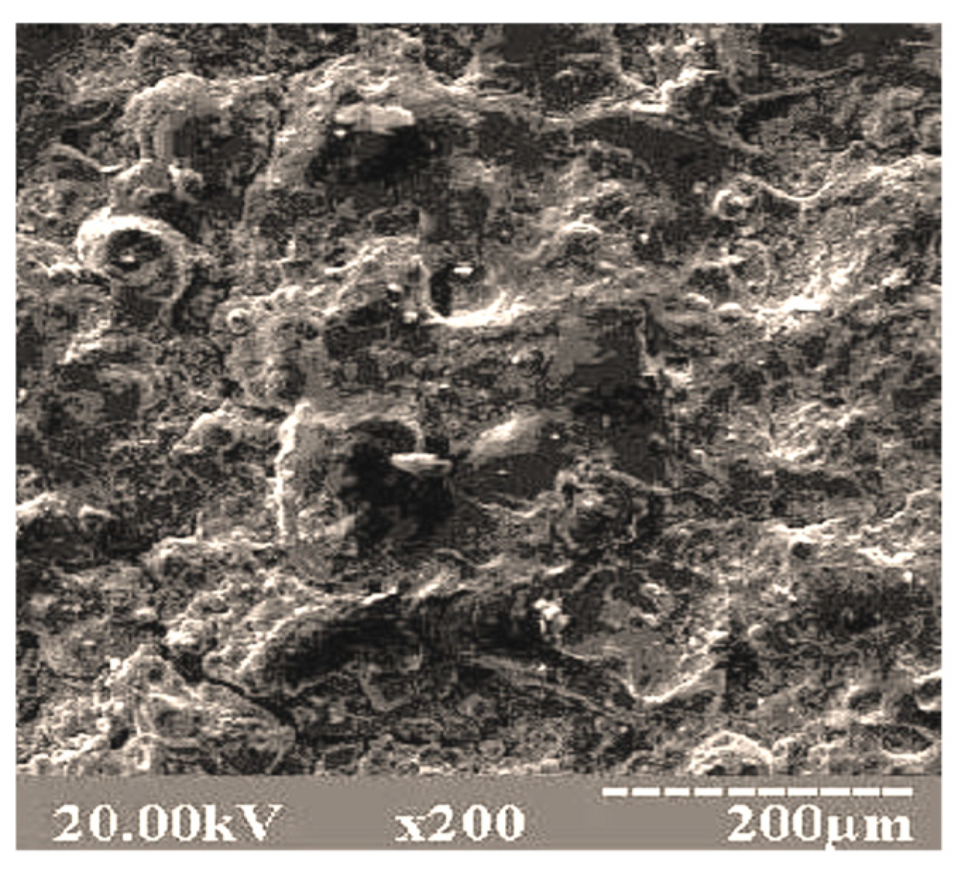 Coatings 10 00725 g004