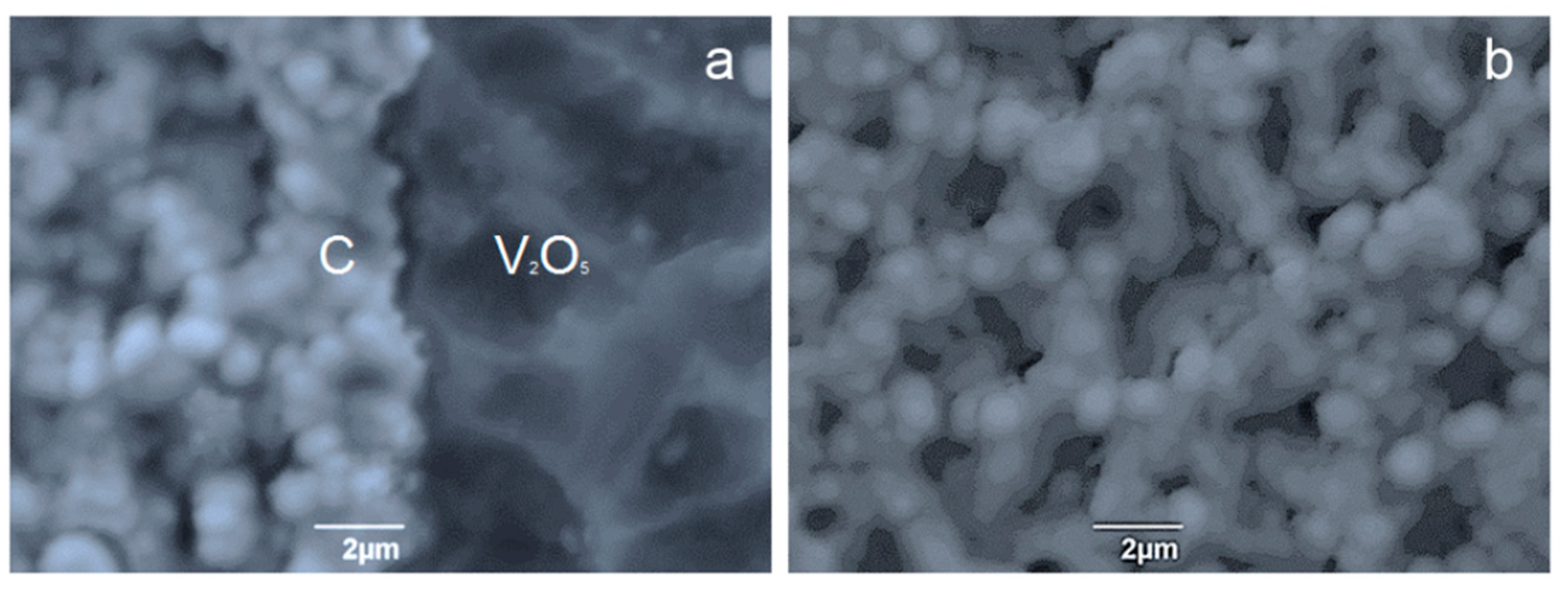 Coatings 10 00725 g005
