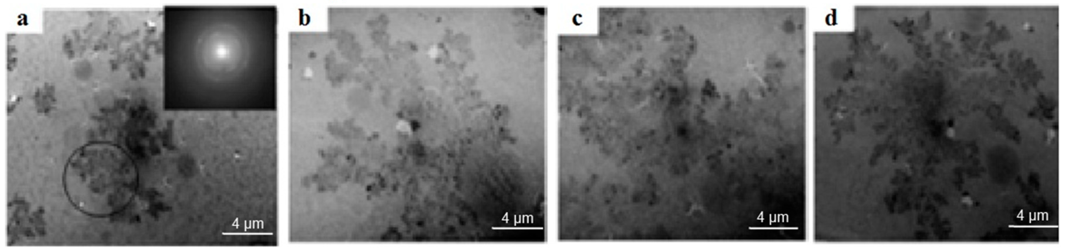 Coatings 10 00725 g006