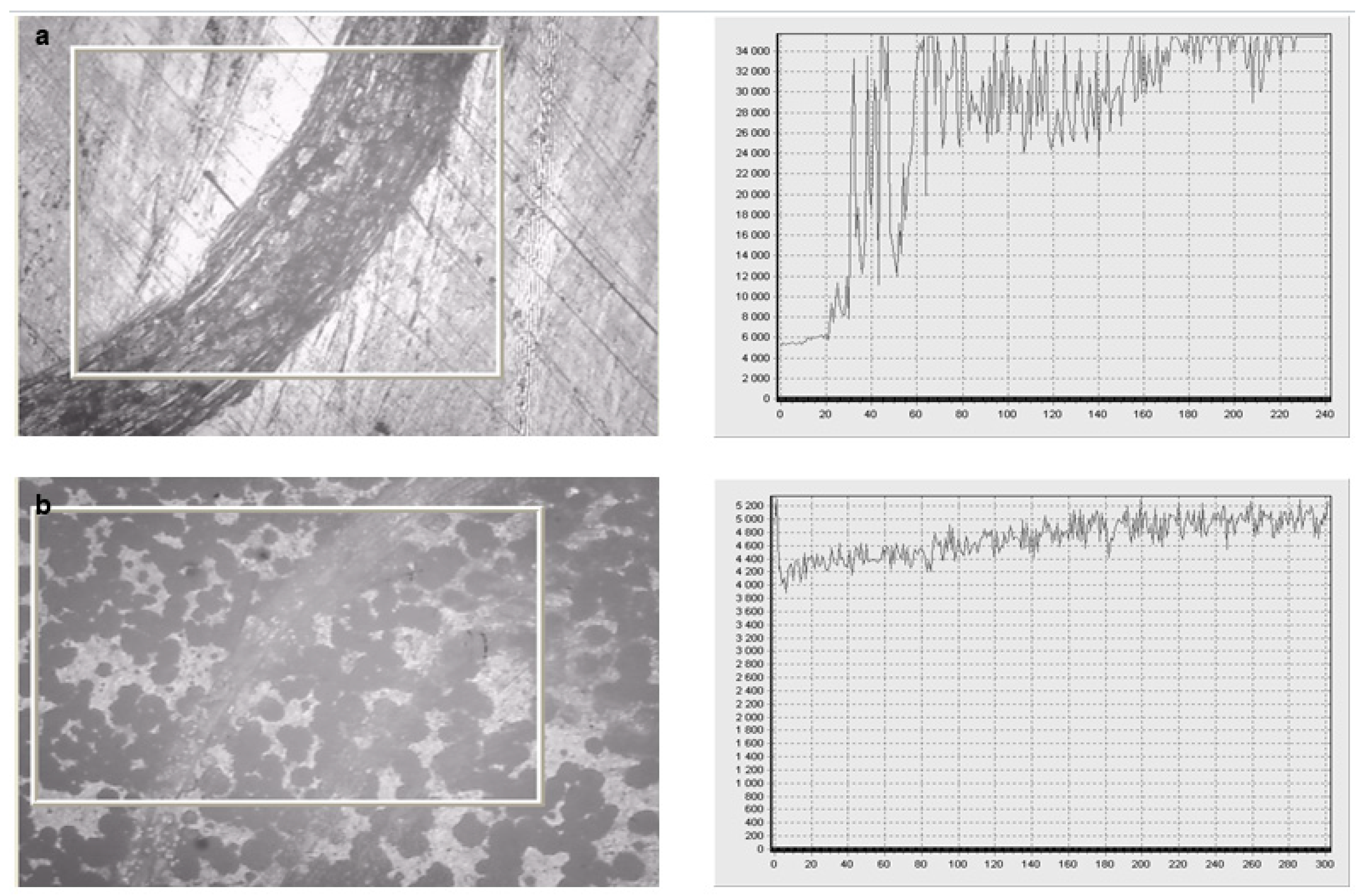 Coatings 10 00725 g008
