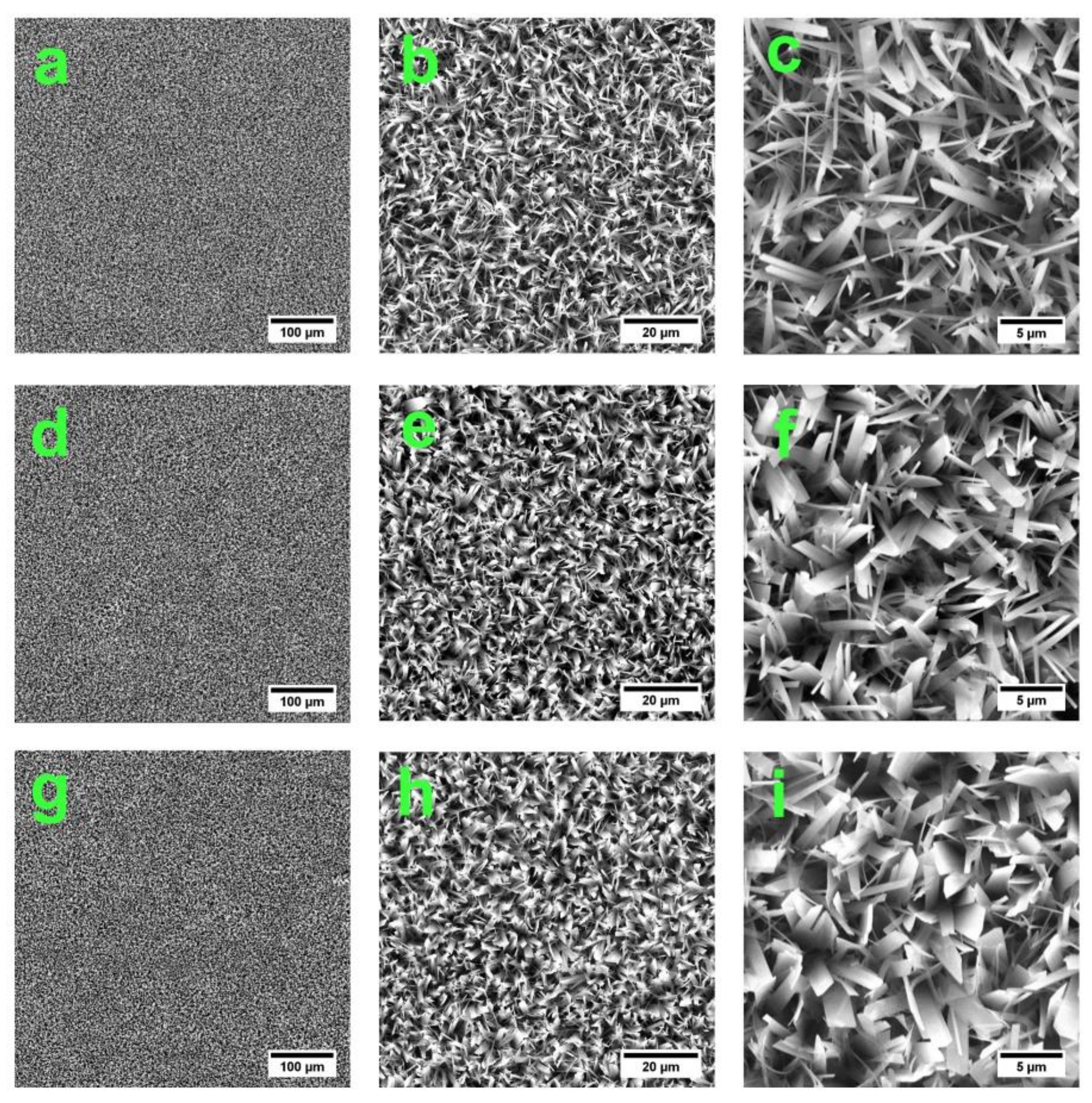 Coatings 10 00727 g002 Coatings 10 00727 g002