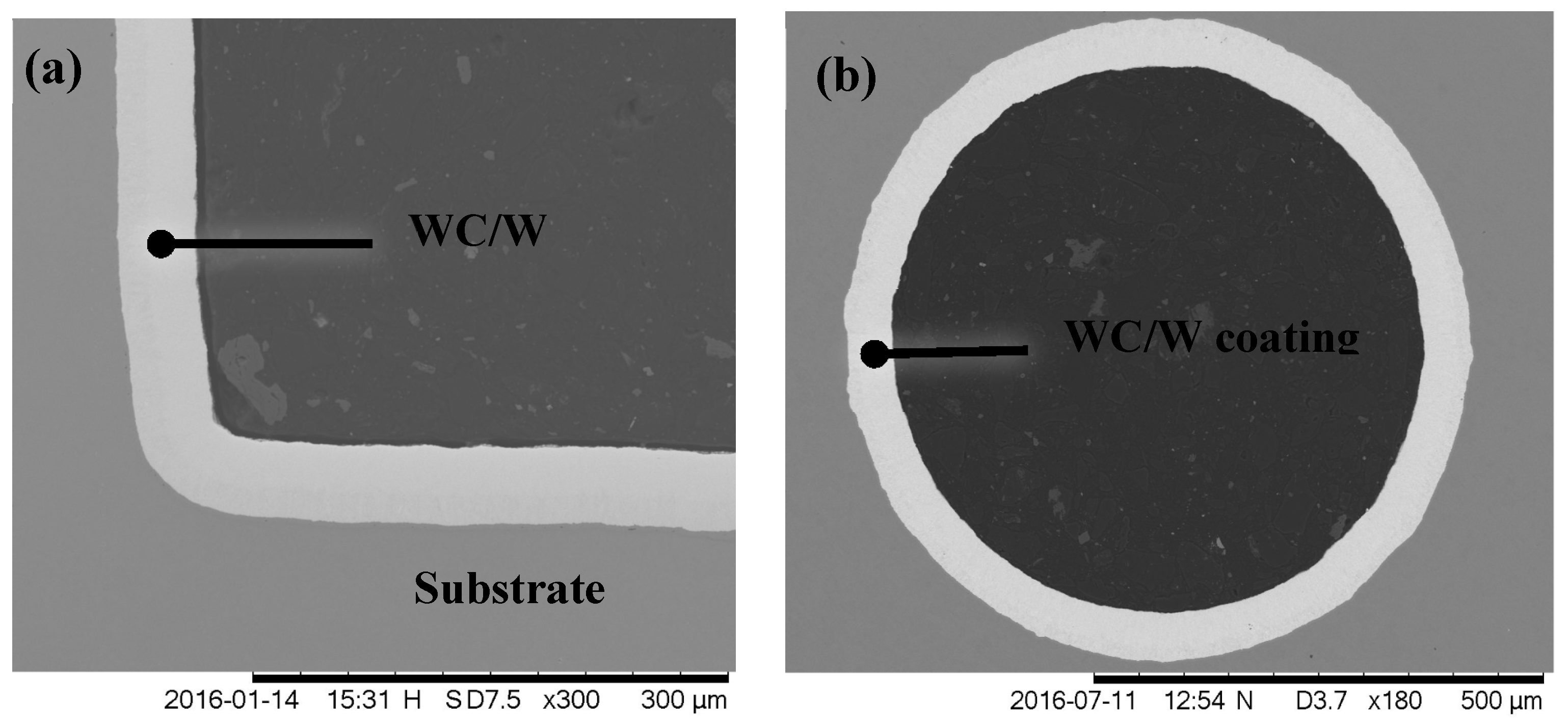 Coatings 10 00731 g006 Coatings 10 00731 g006