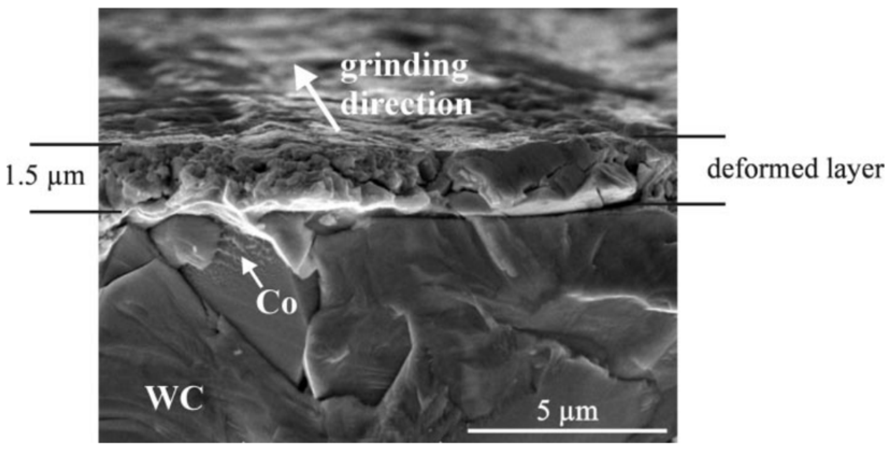 Coatings 10 00731 g012 Coatings 10 00731 g012