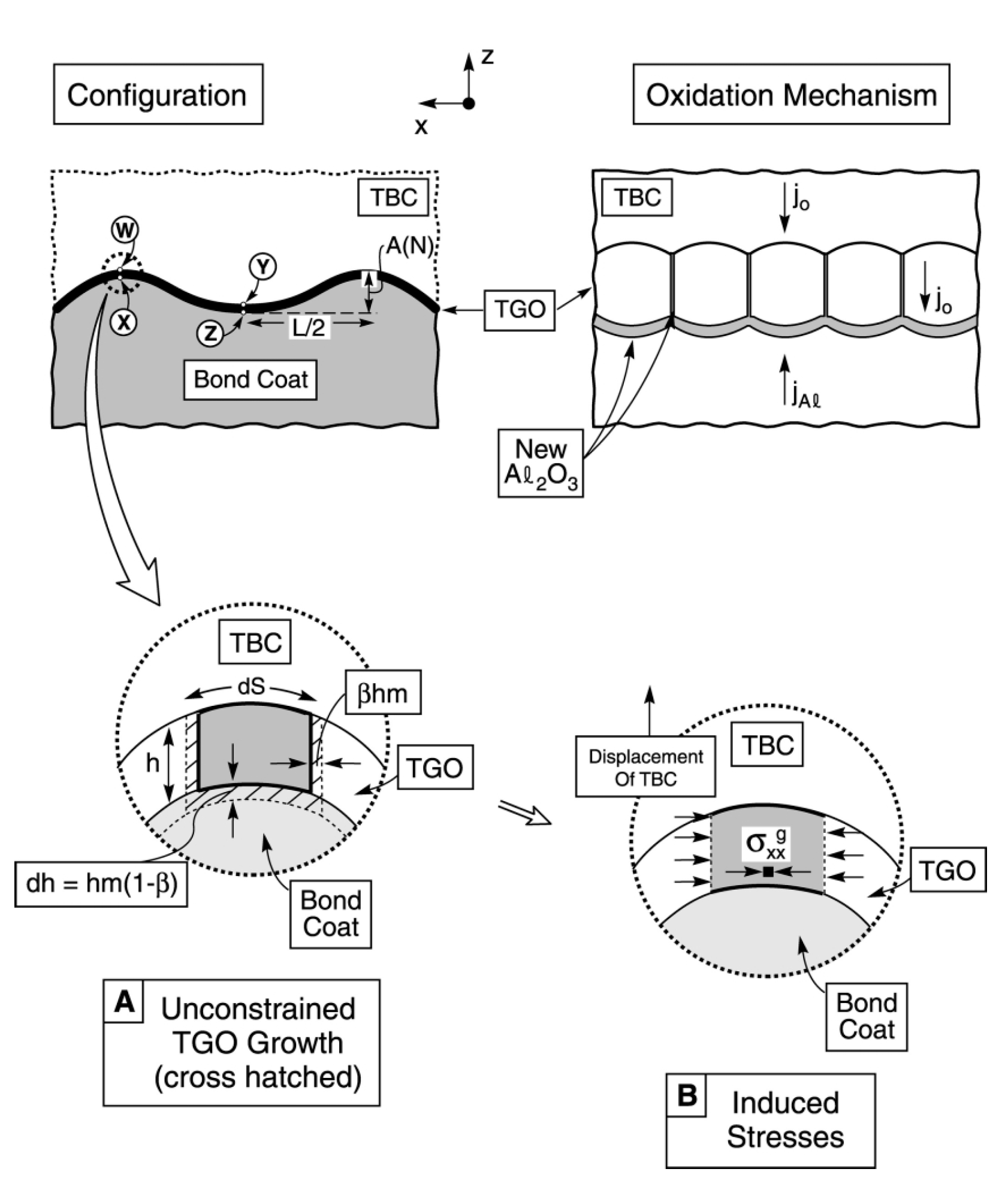 Coatings 10 00732 g005