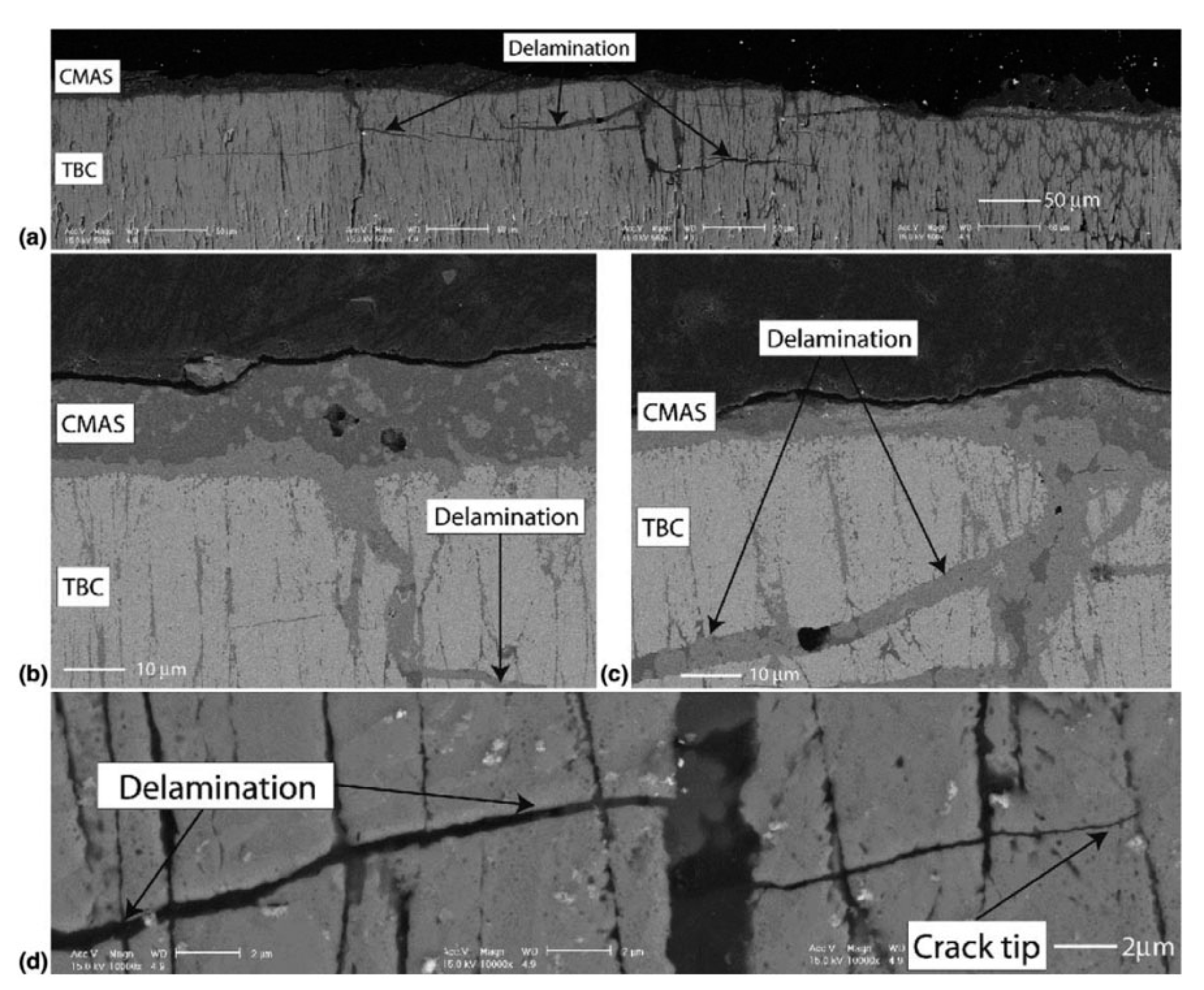 Coatings 10 00732 g013