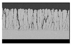 Coatings 10 00732 i004