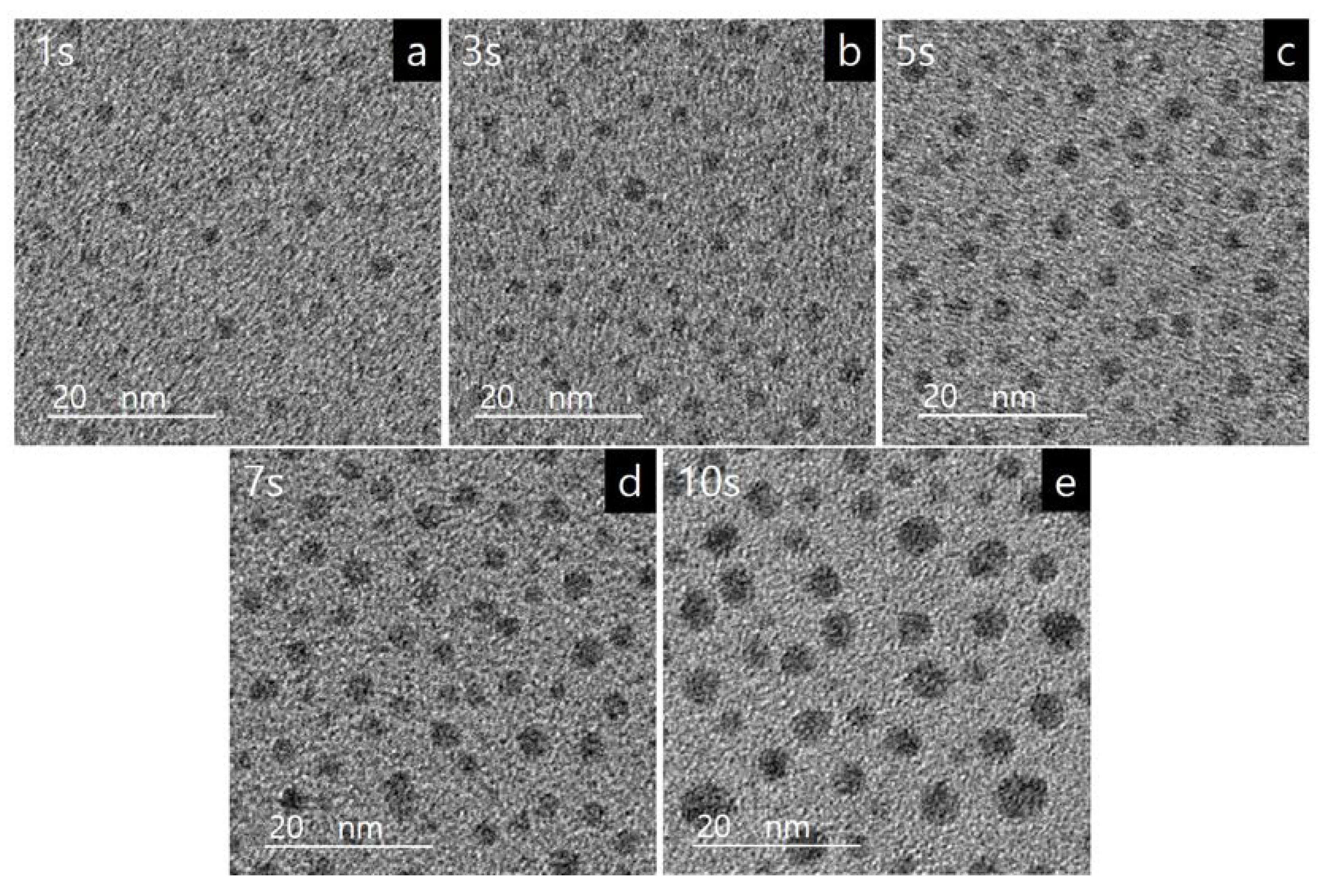 Coatings 10 00736 g002 Coatings 10 00736 g002