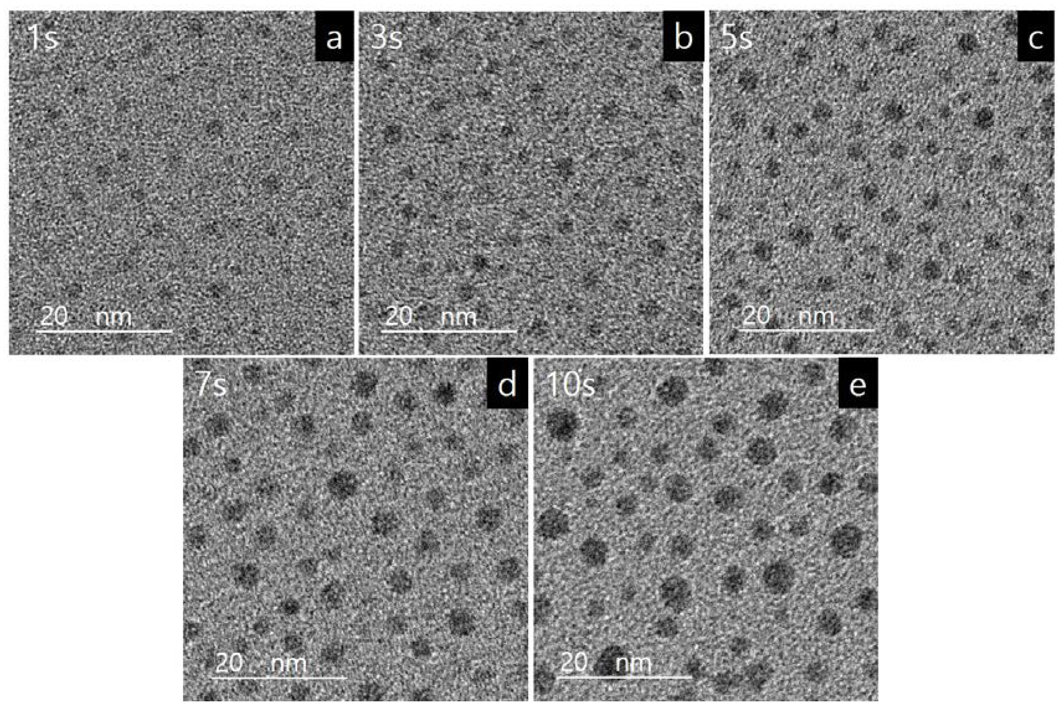 Coatings 10 00736 g004 Coatings 10 00736 g004