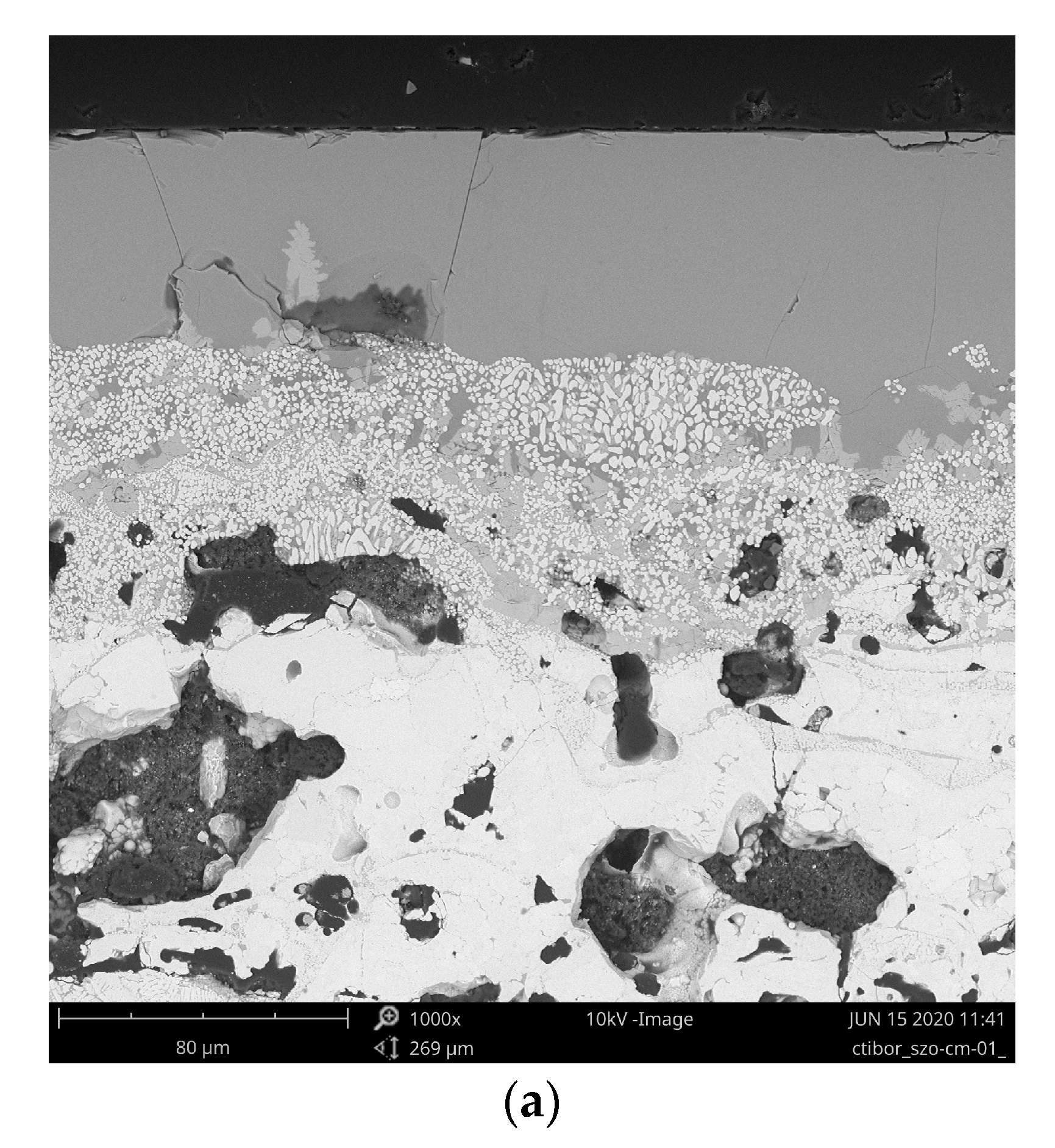 Coatings 10 00738 g001a
