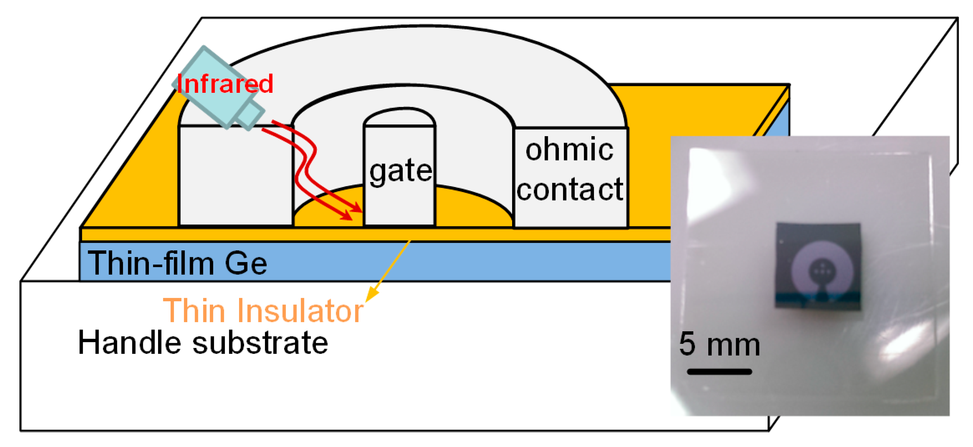 Coatings Free FullText The Superior Responsivity Enhancement of
