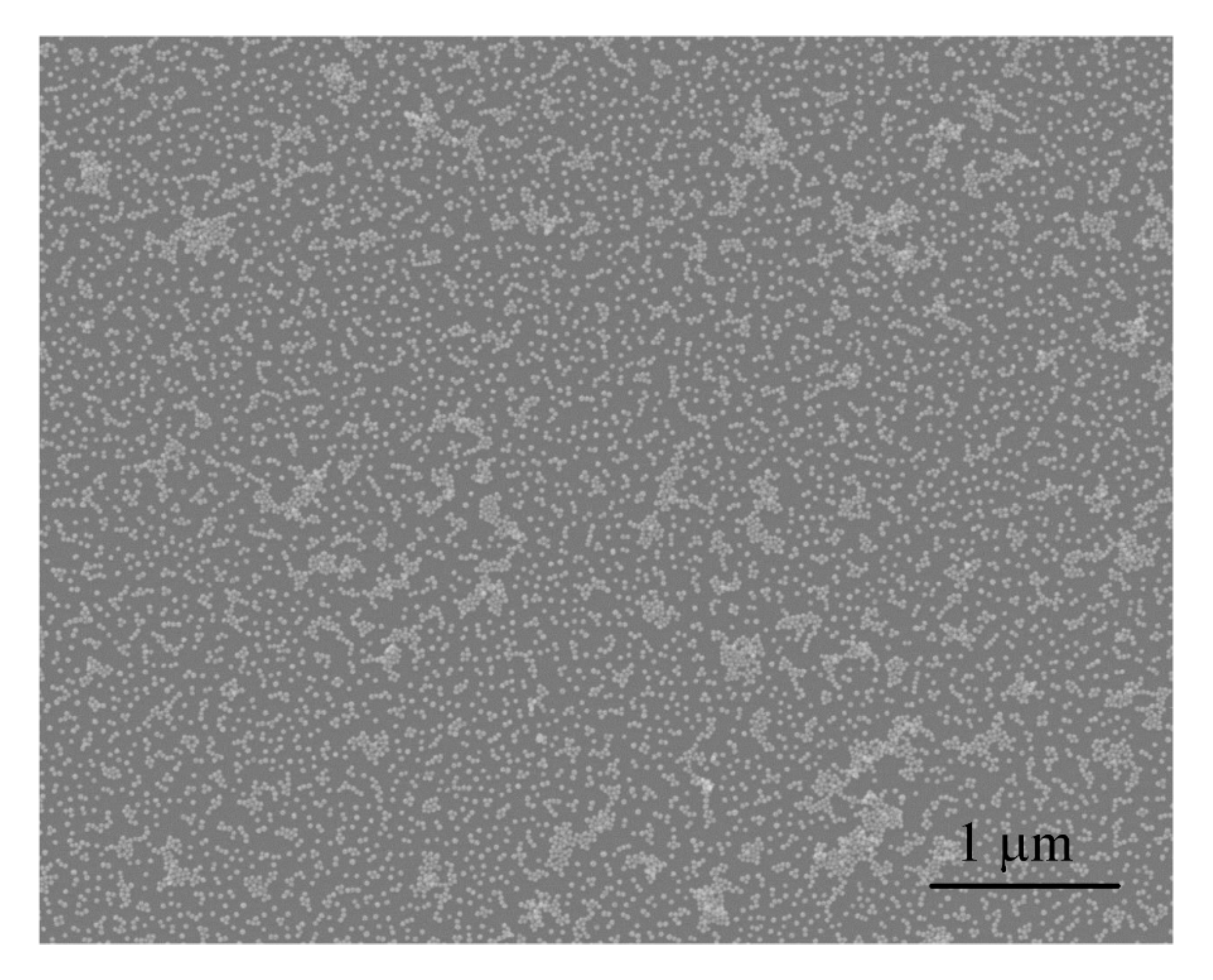 Coatings 10 00739 g006