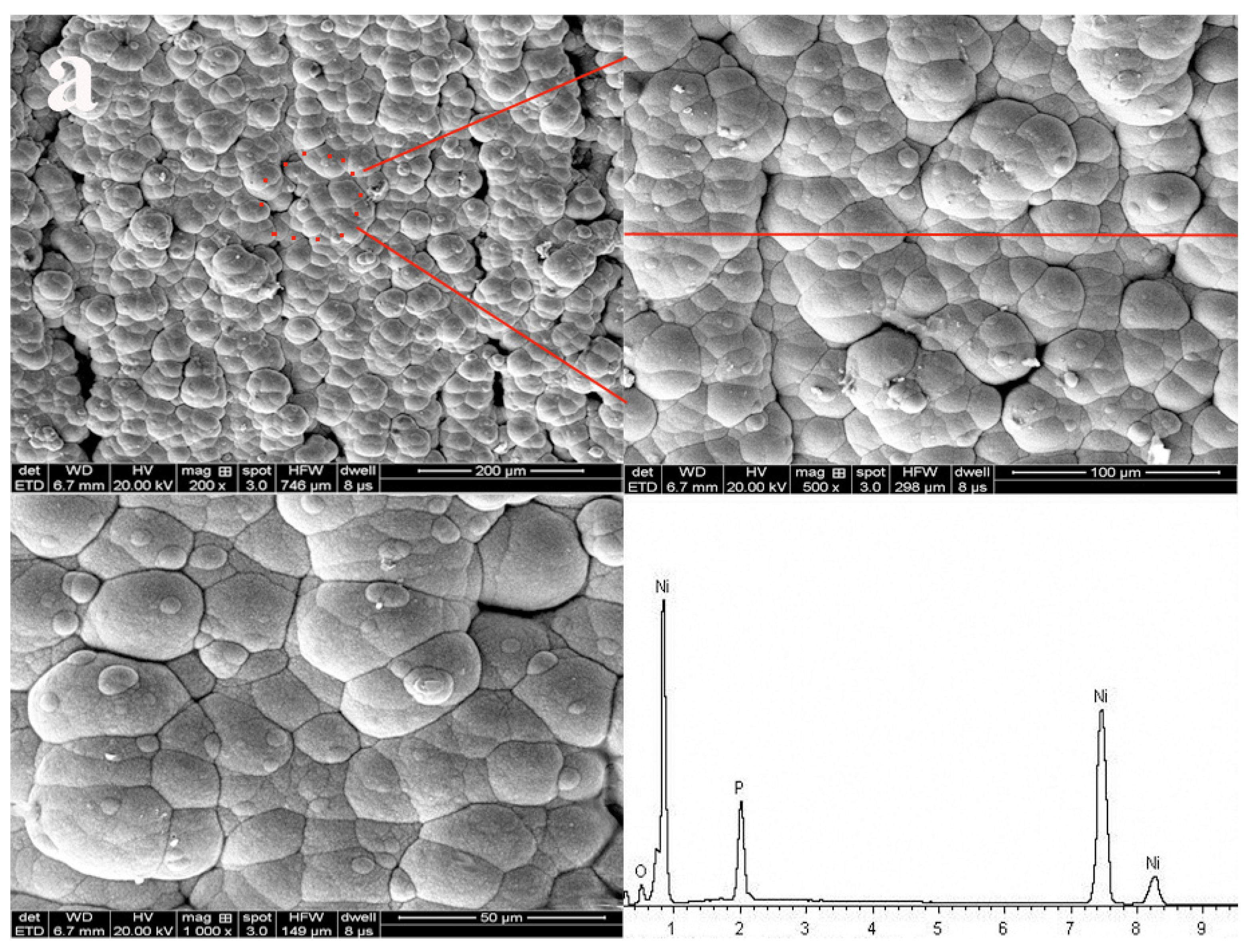 Coatings 10 00740 g002a