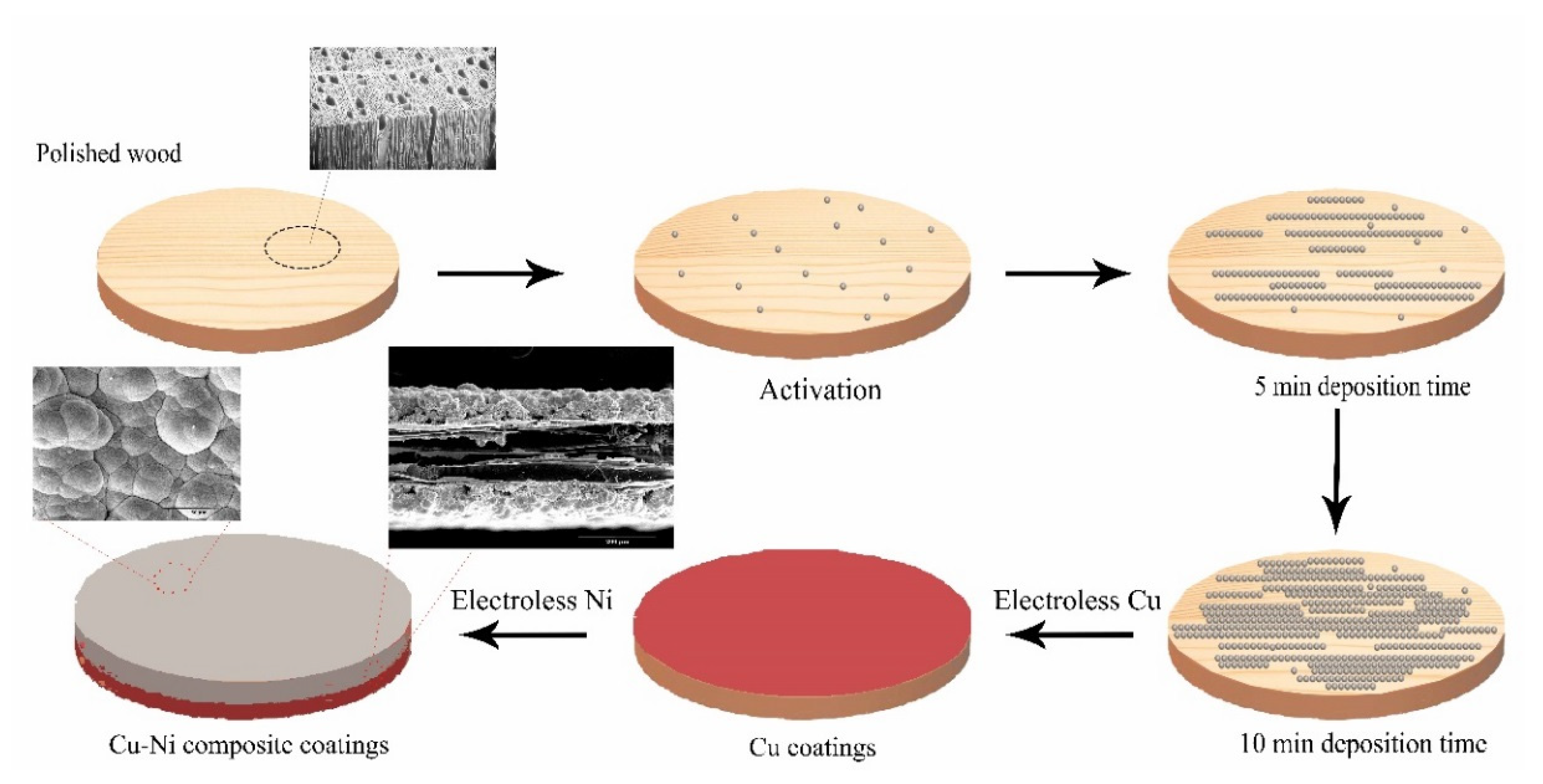 Coatings 10 00740 g009