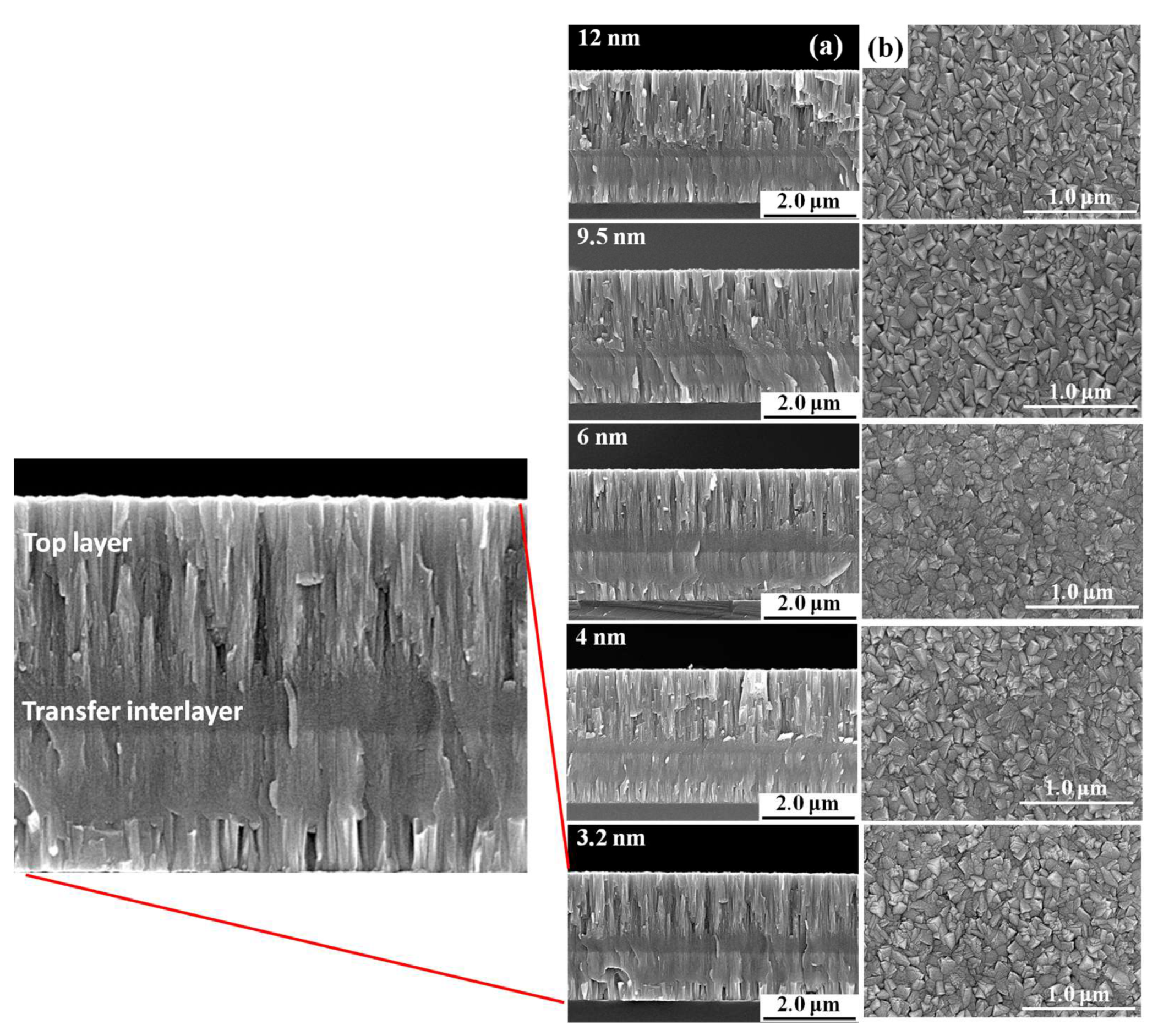 Coatings 10 00742 g004 Coatings 10 00742 g004