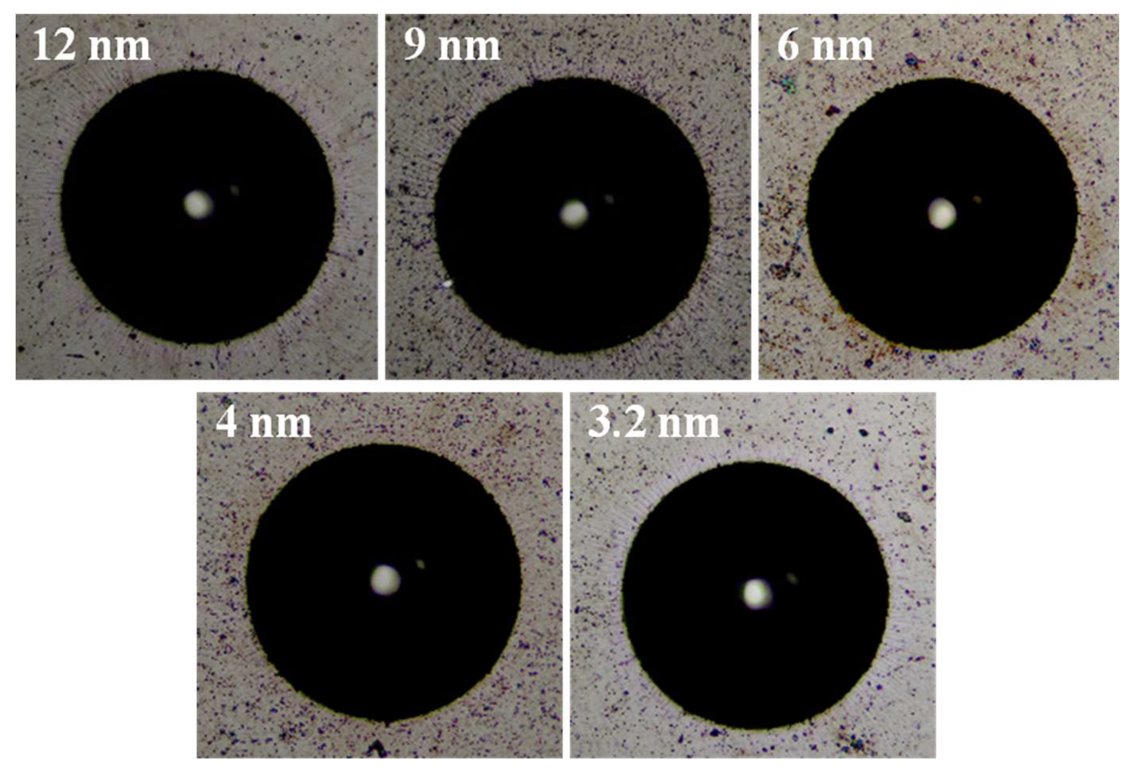 Coatings 10 00742 g006 Coatings 10 00742 g006