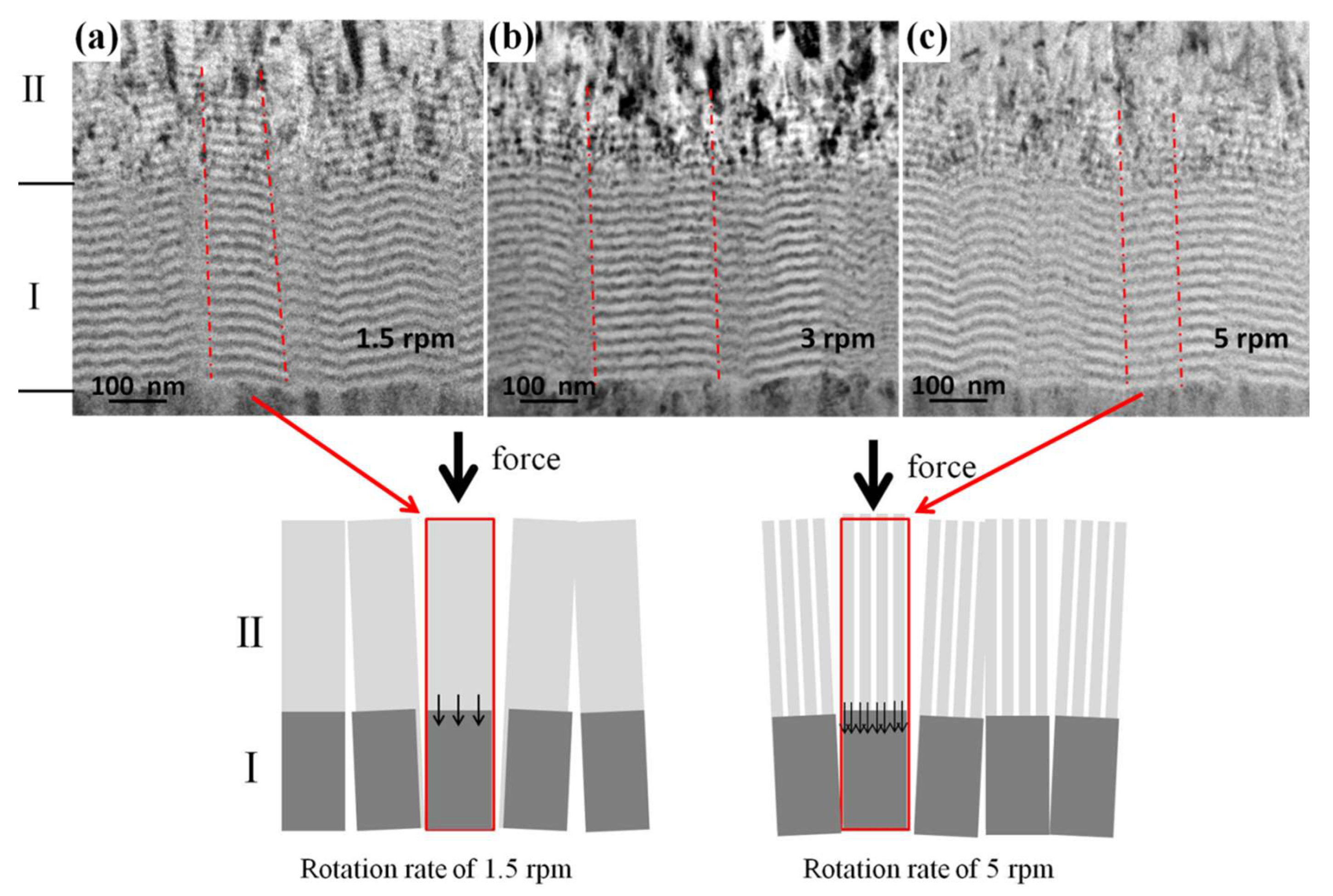 Coatings 10 00742 g008 Coatings 10 00742 g008