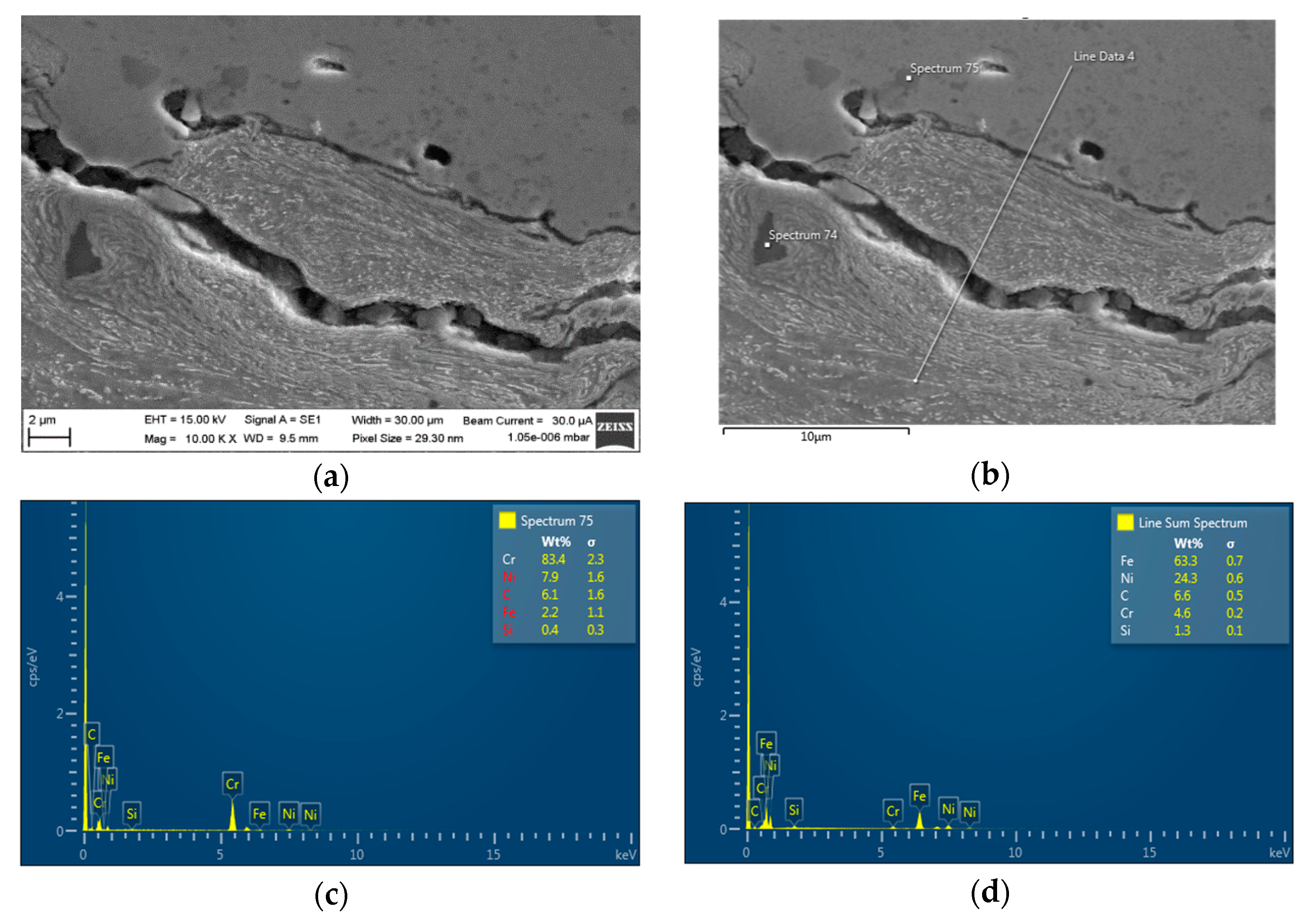 Coatings 10 00744 g001