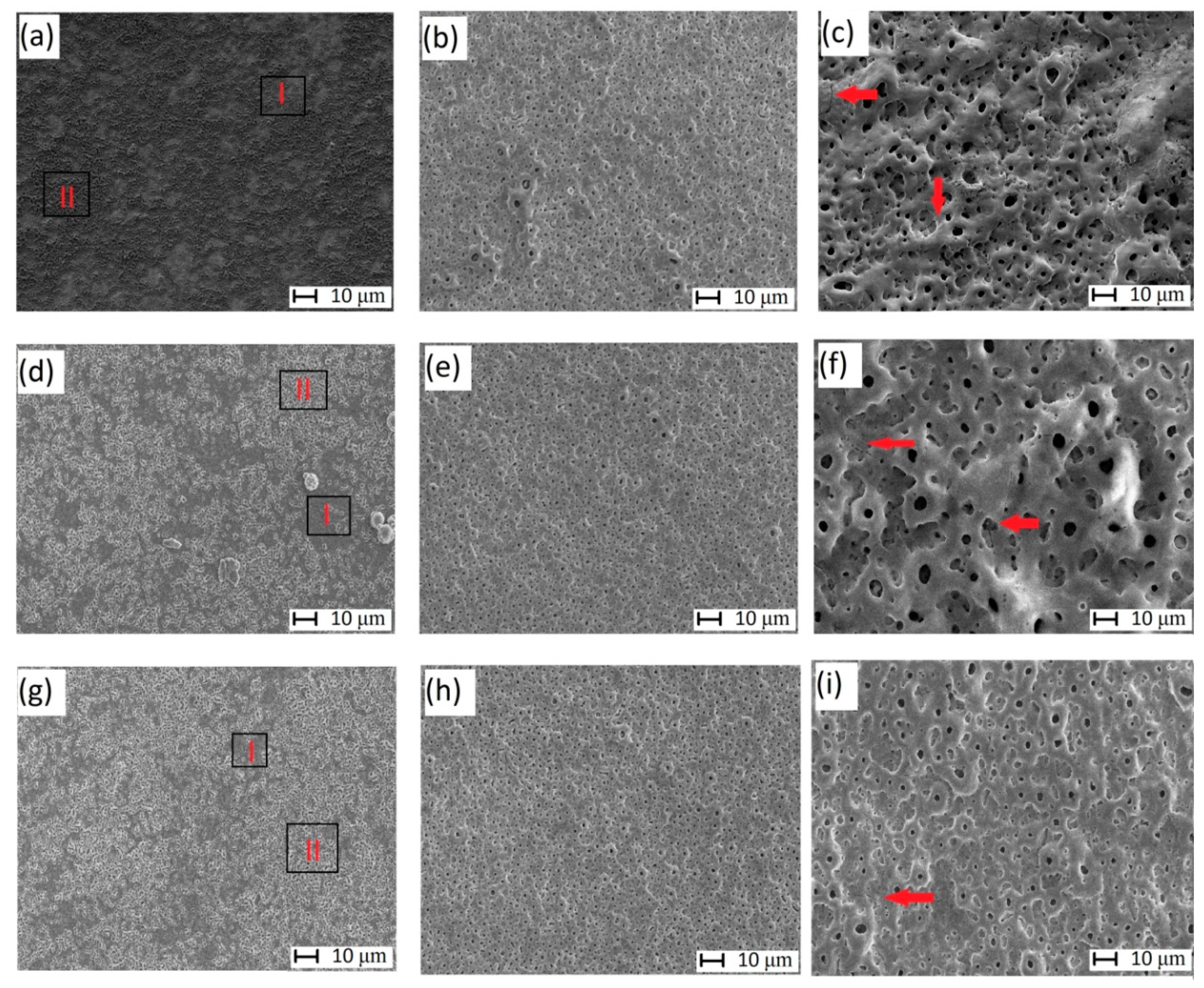 Coatings 10 00745 g002 Coatings 10 00745 g002